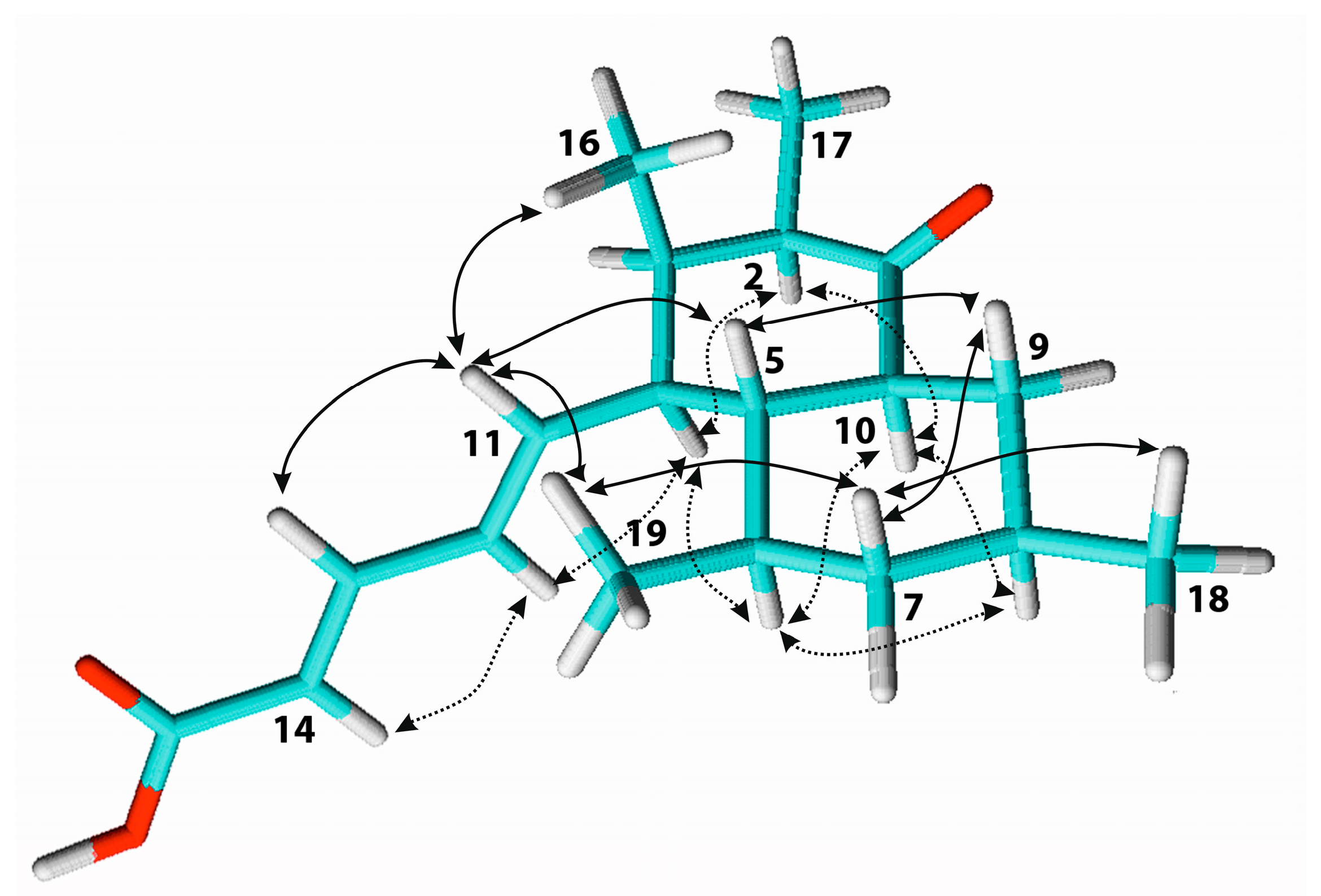 Biomolecules 08 00008 g003