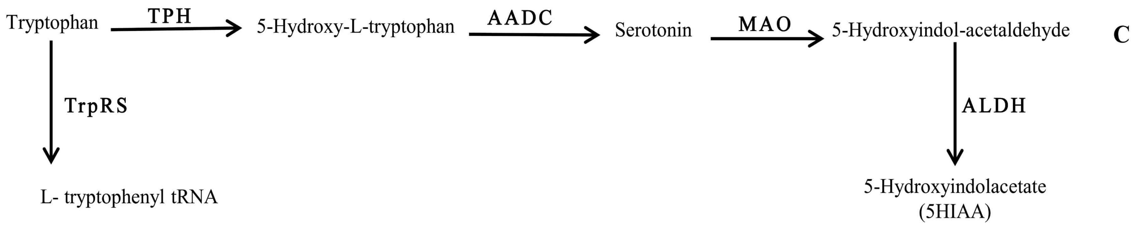 Biomolecules 08 00010 g003
