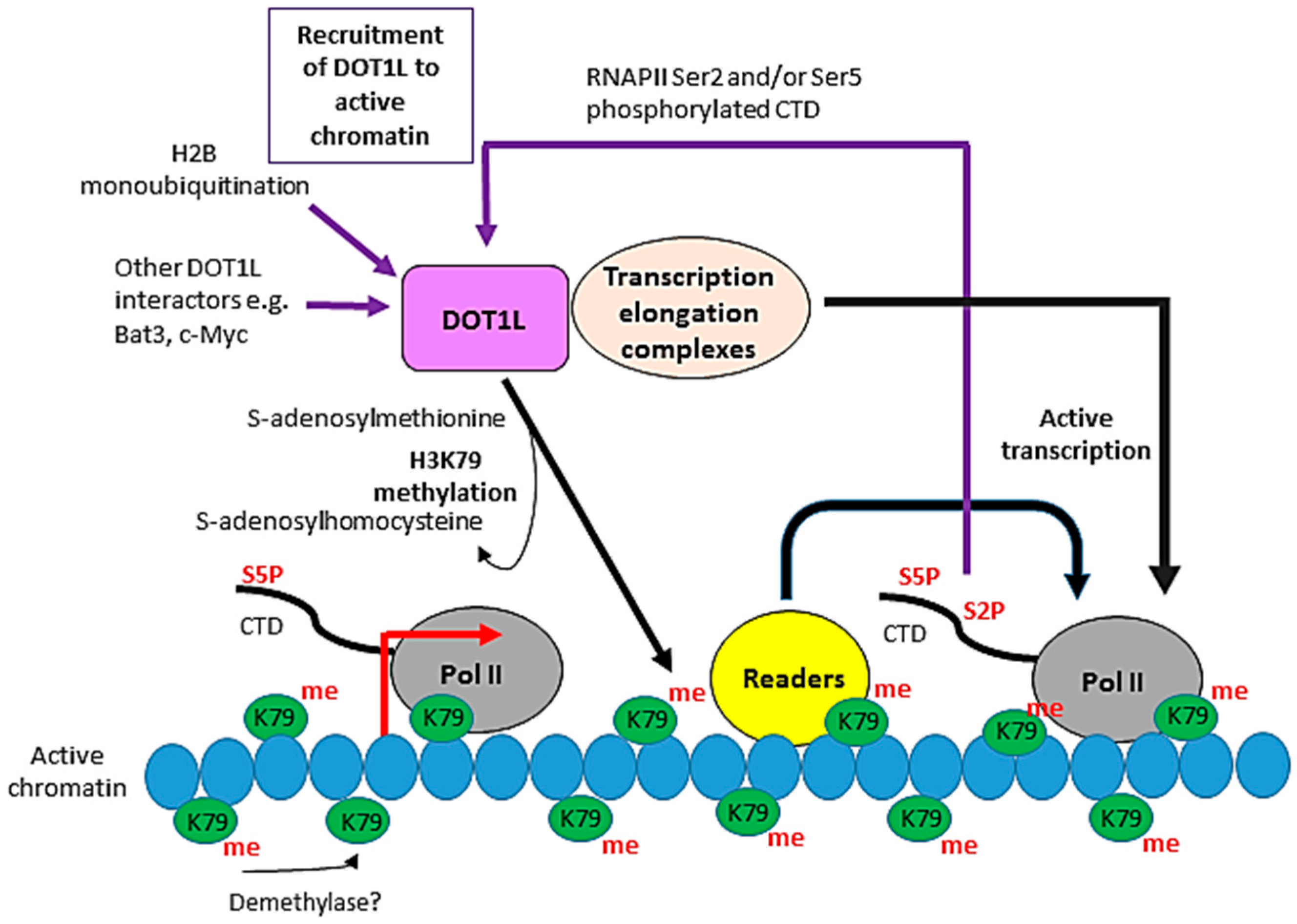 Biomolecules 08 00011 g002