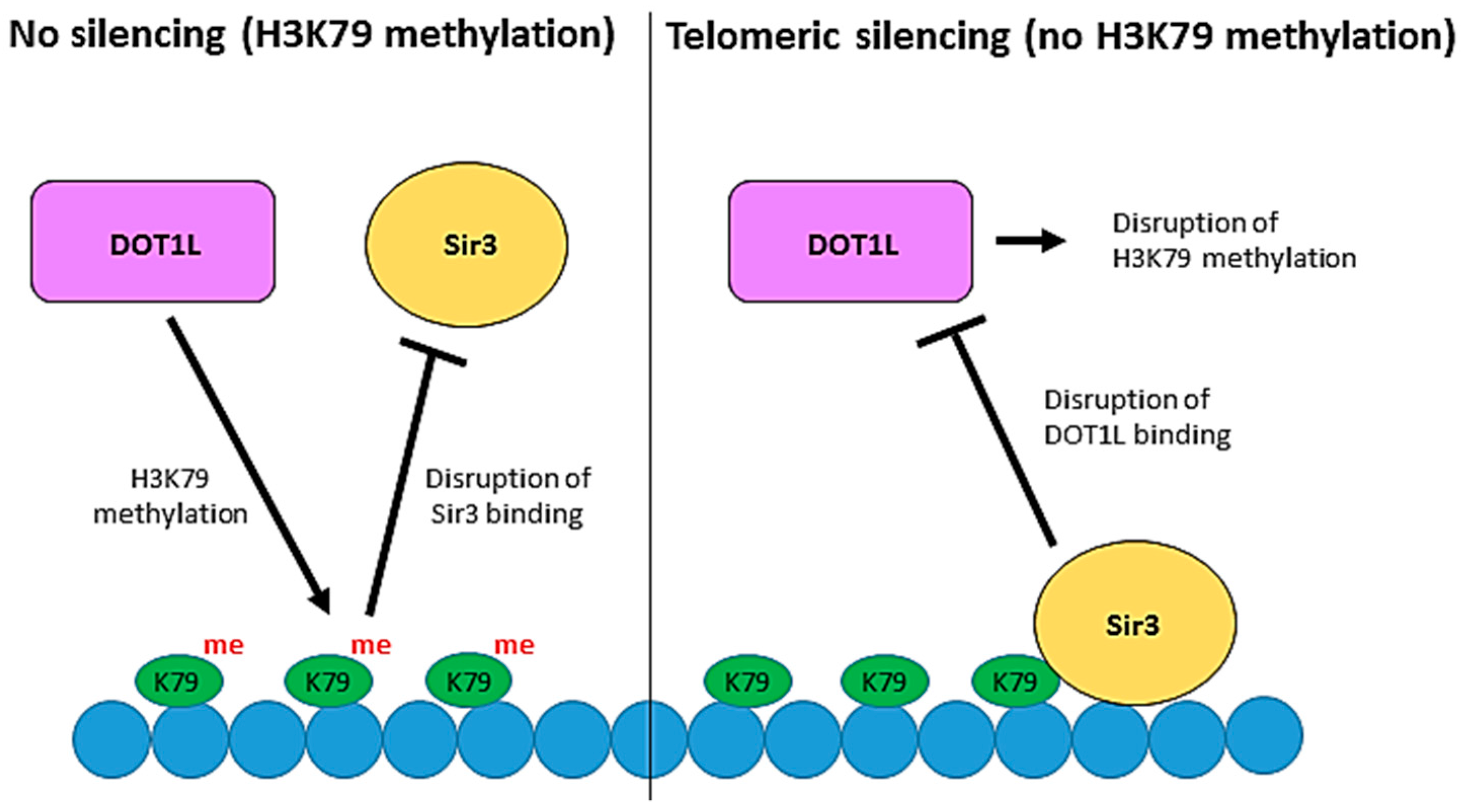Biomolecules 08 00011 g003