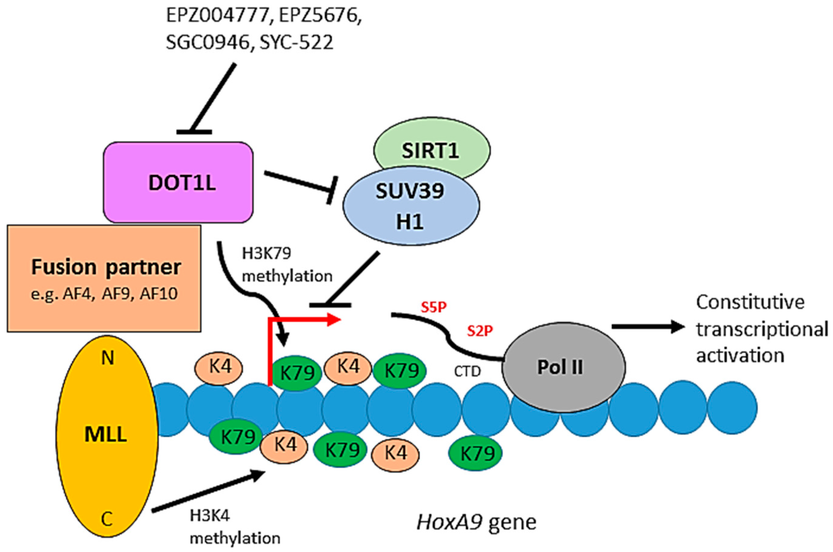Biomolecules 08 00011 g005