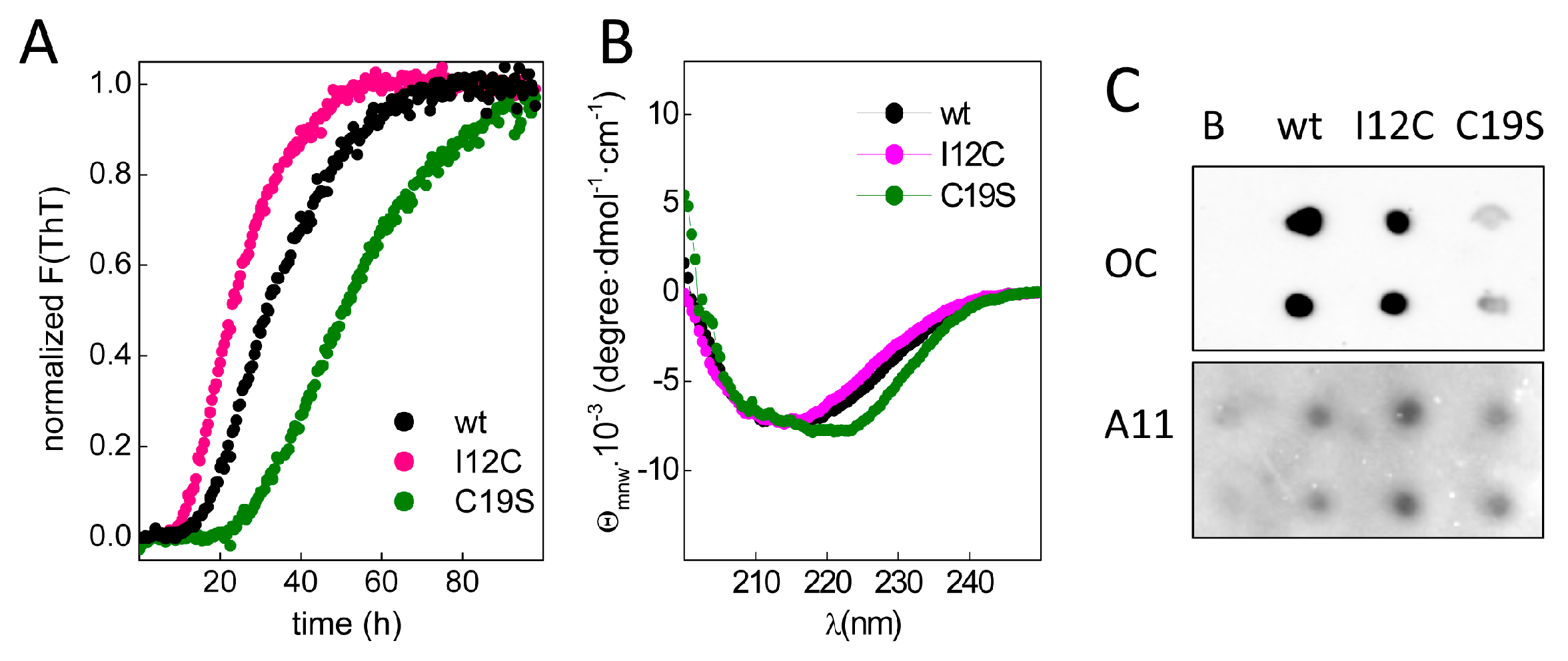 Biomolecules 08 00013 g003