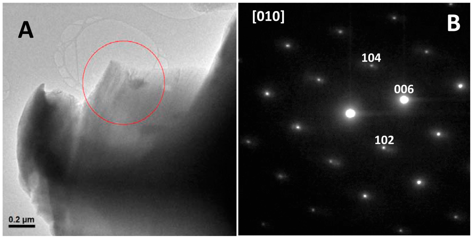 Biomolecules 08 00013 g007
