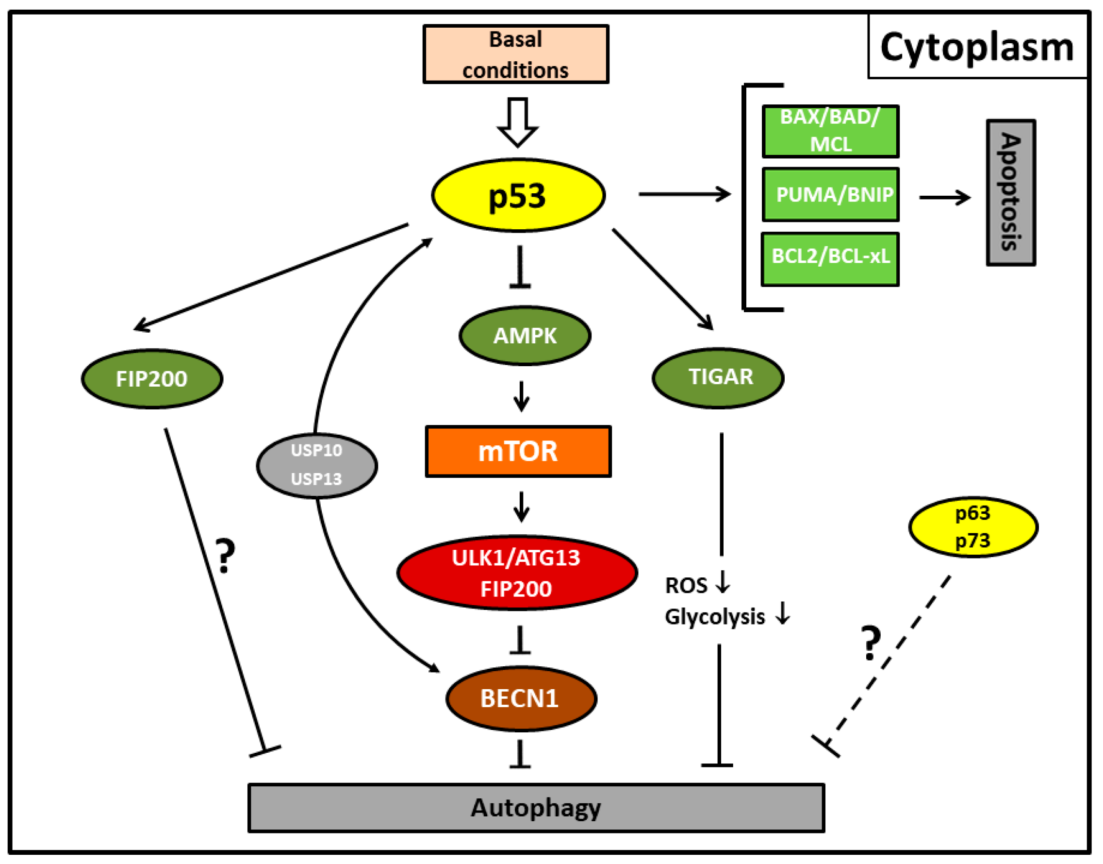 Biomolecules 08 00014 g002