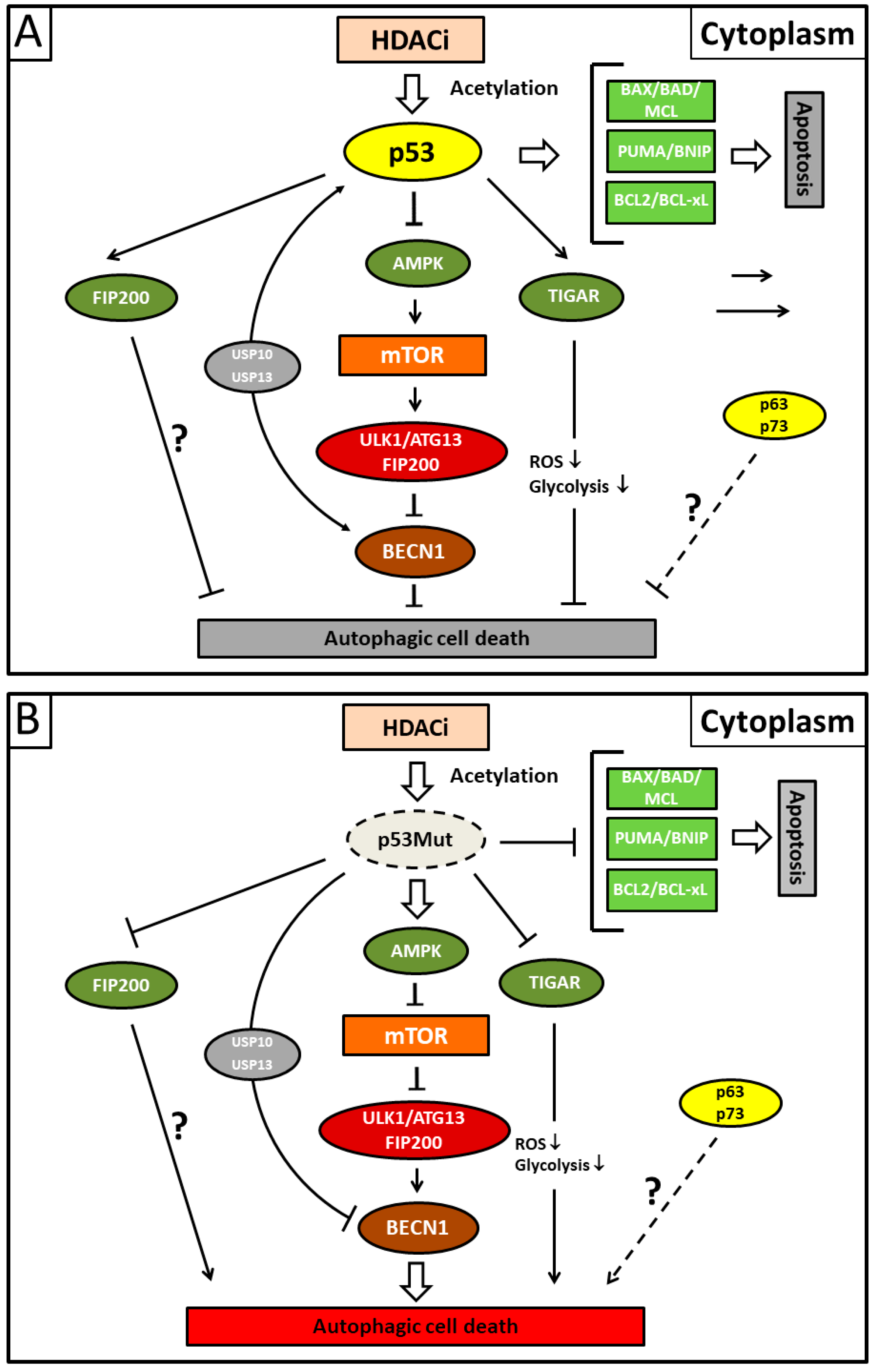 Biomolecules 08 00014 g003