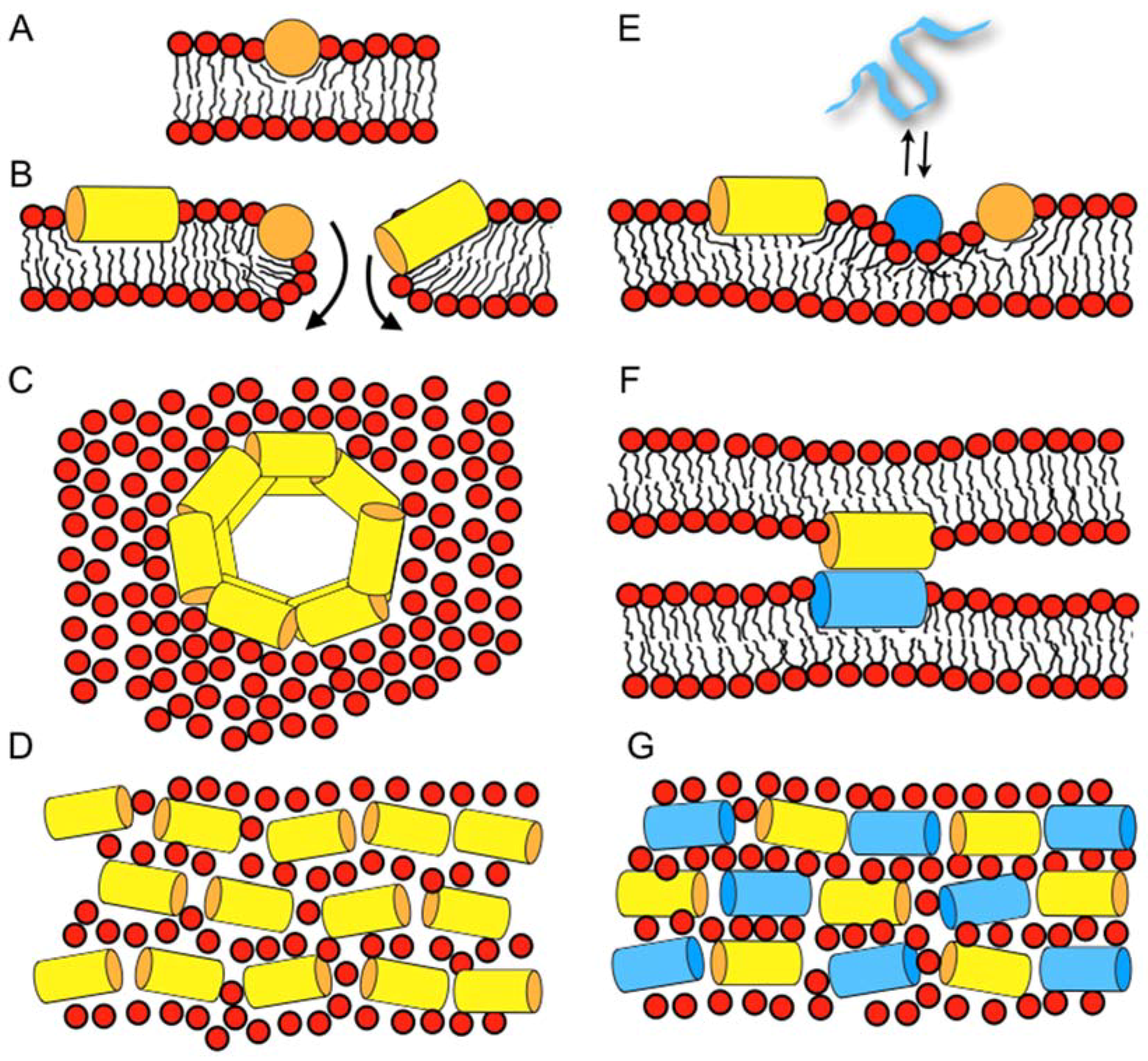 Biomolecules 08 00018 g001