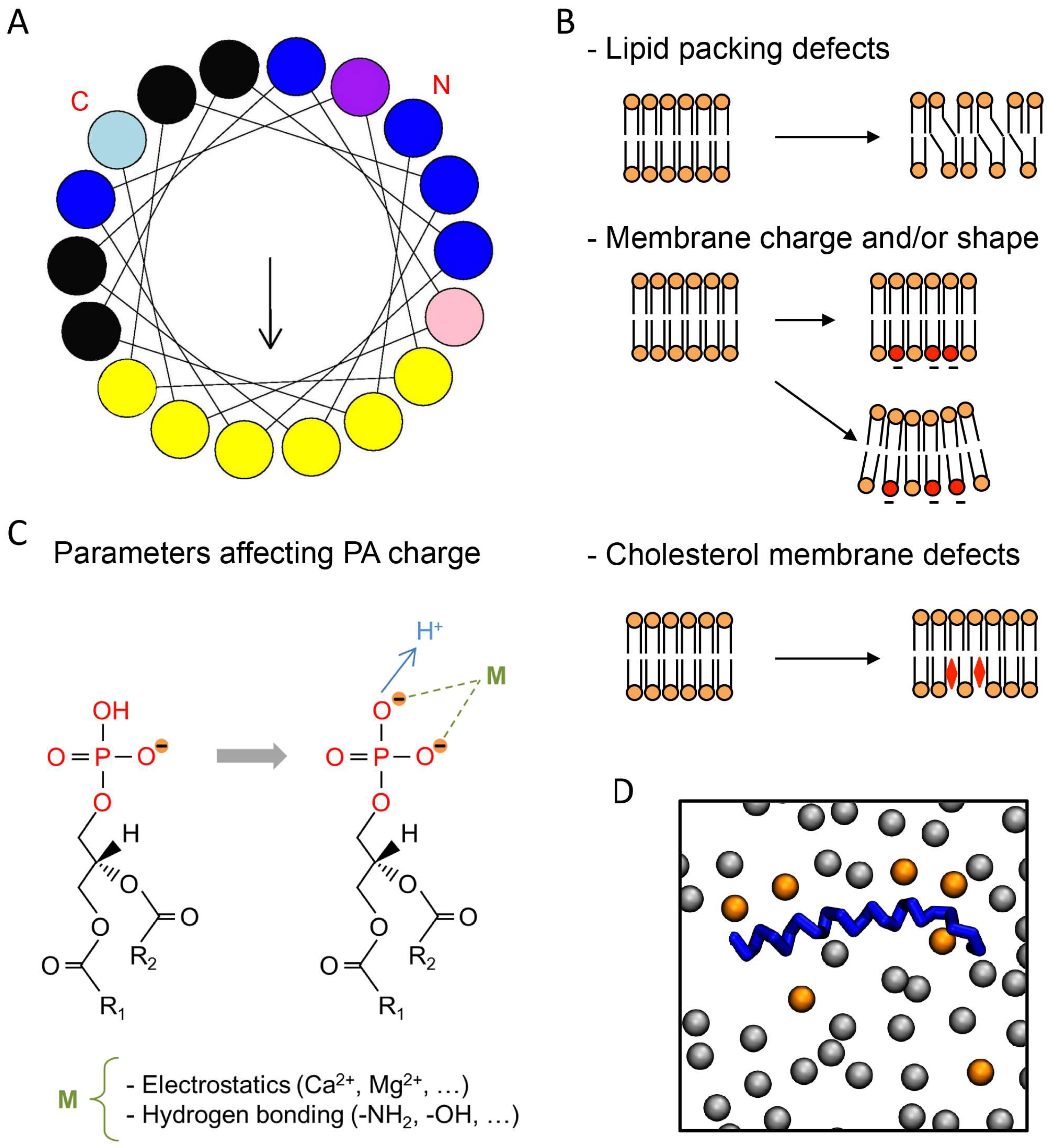 Biomolecules 08 00020 g001 Biomolecules 08 00020 g001