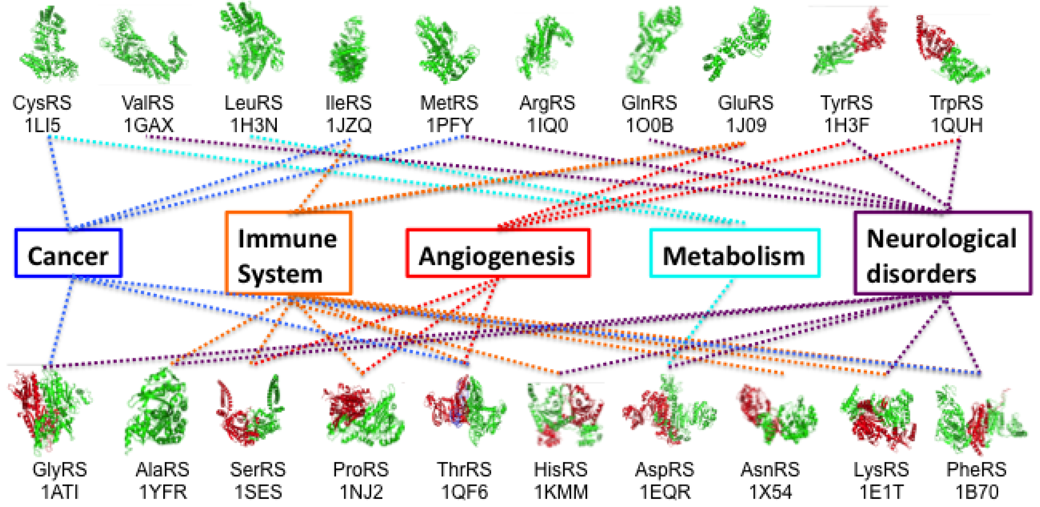 Biomolecules 08 00022 g001
