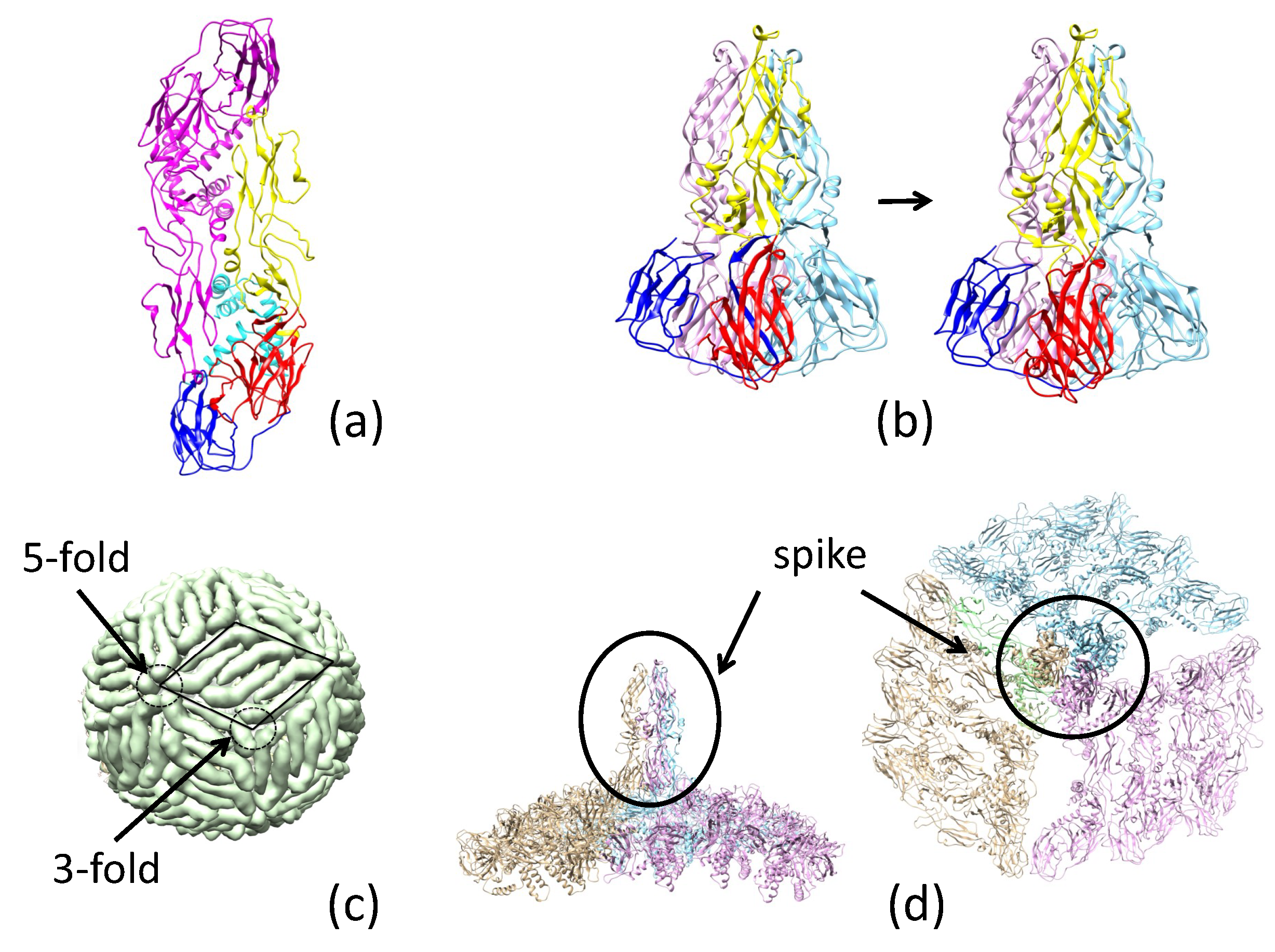 Biomolecules 08 00025 g002