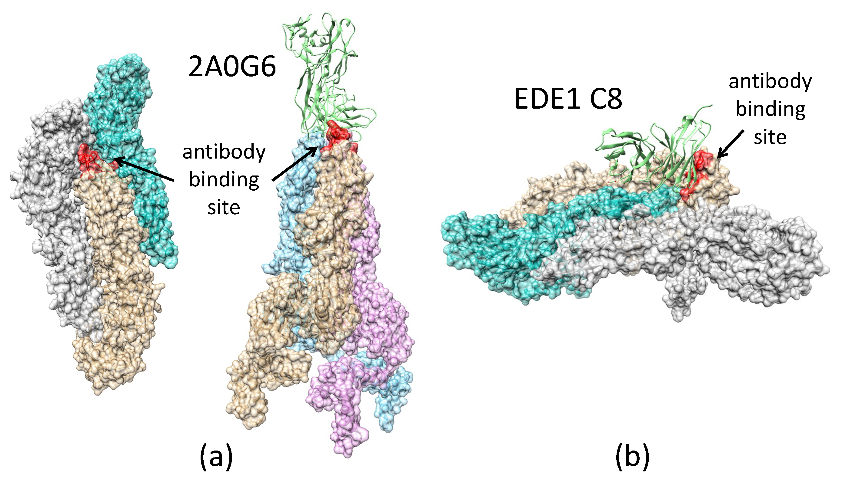 Biomolecules 08 00025 g004
