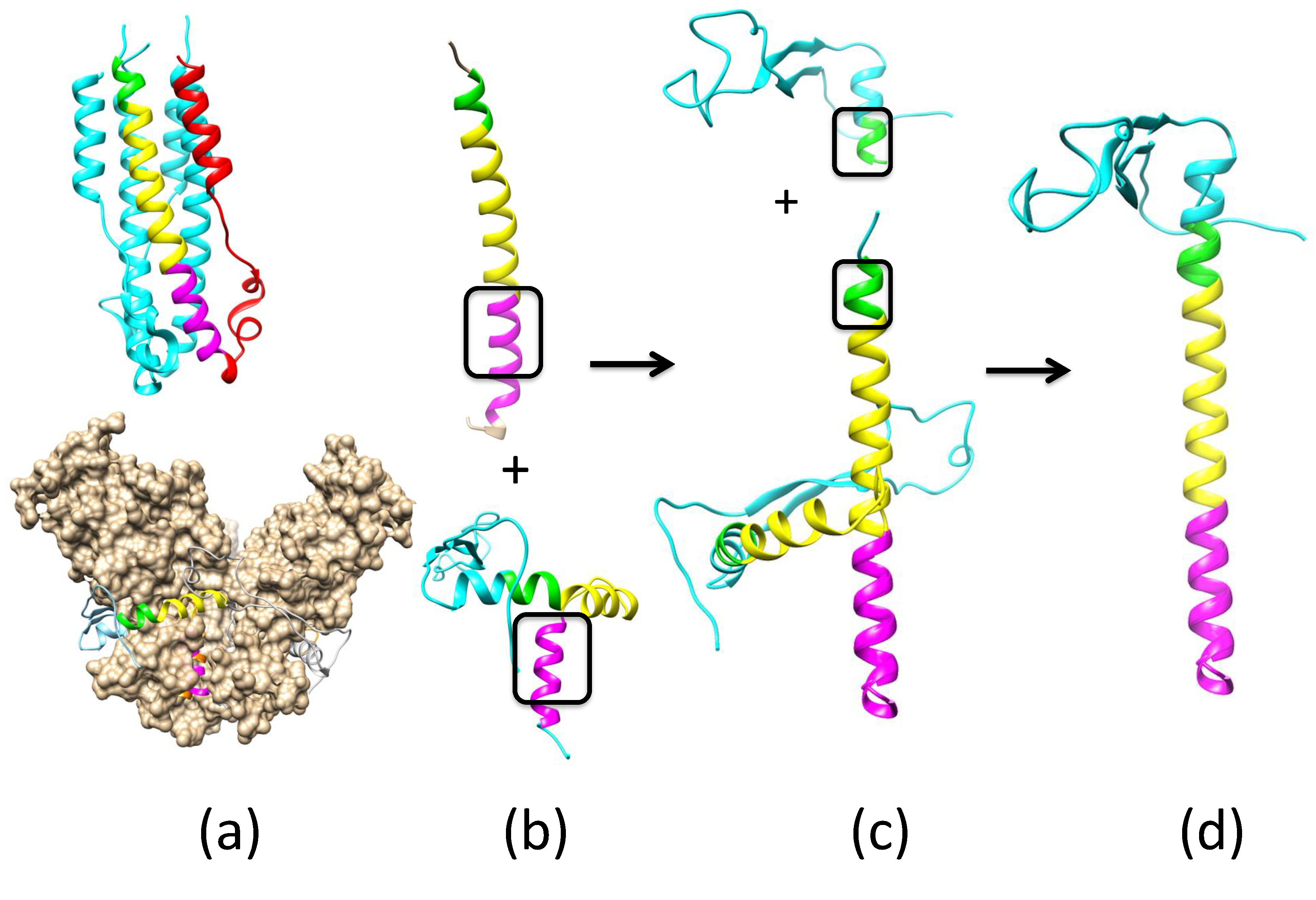 Biomolecules 08 00025 g0a1