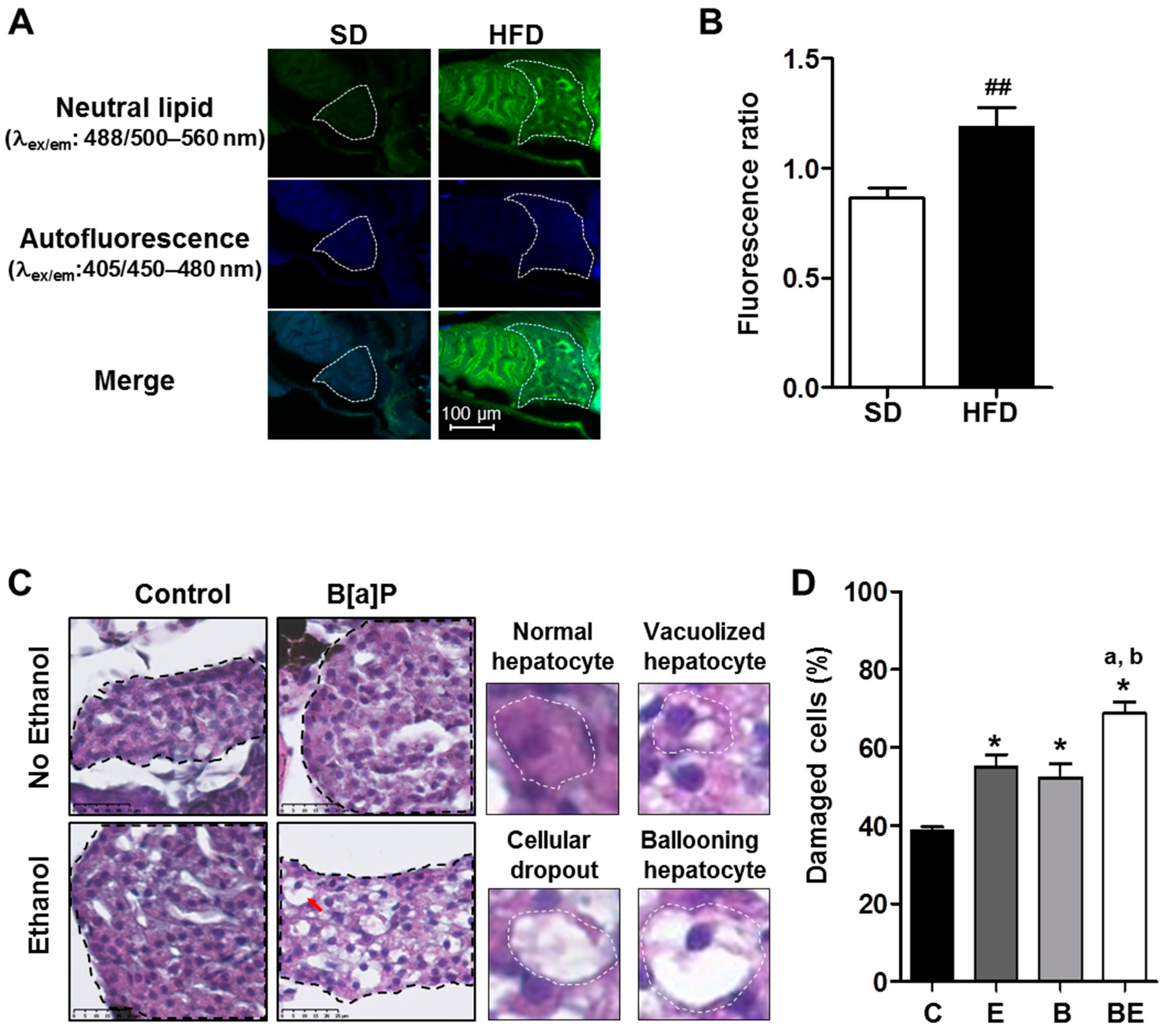 Biomolecules 08 00026 g001