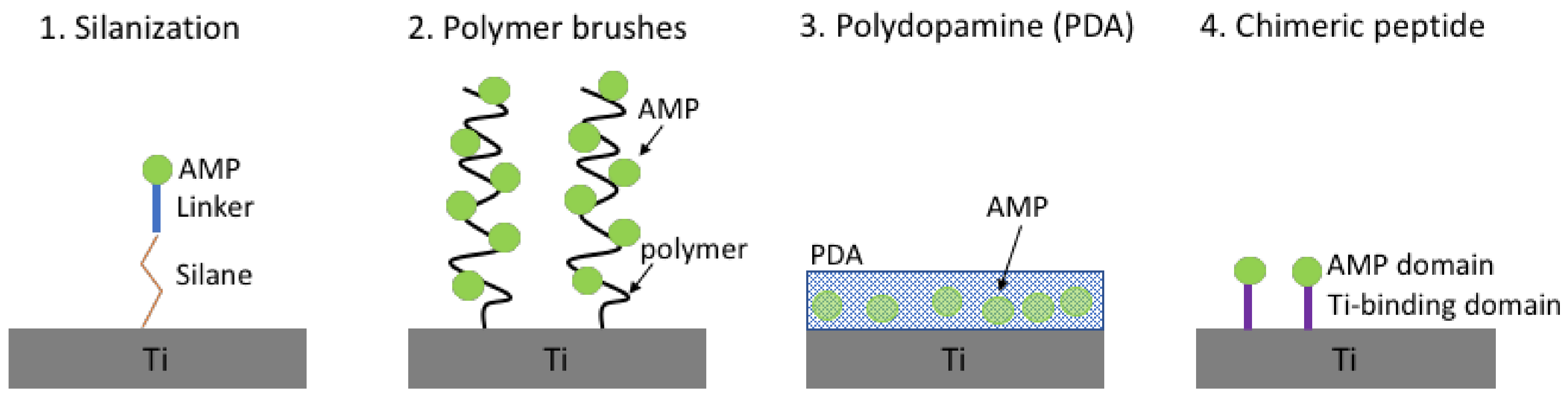 Biomolecules 08 00027 g003
