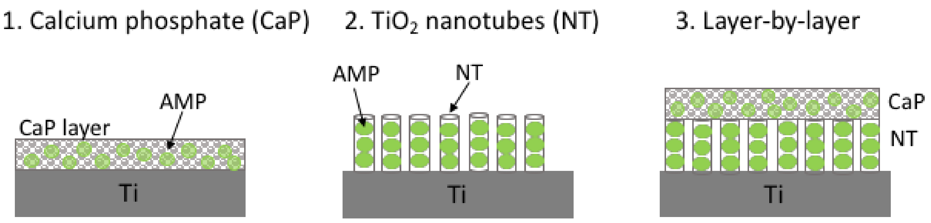 Biomolecules 08 00027 g004
