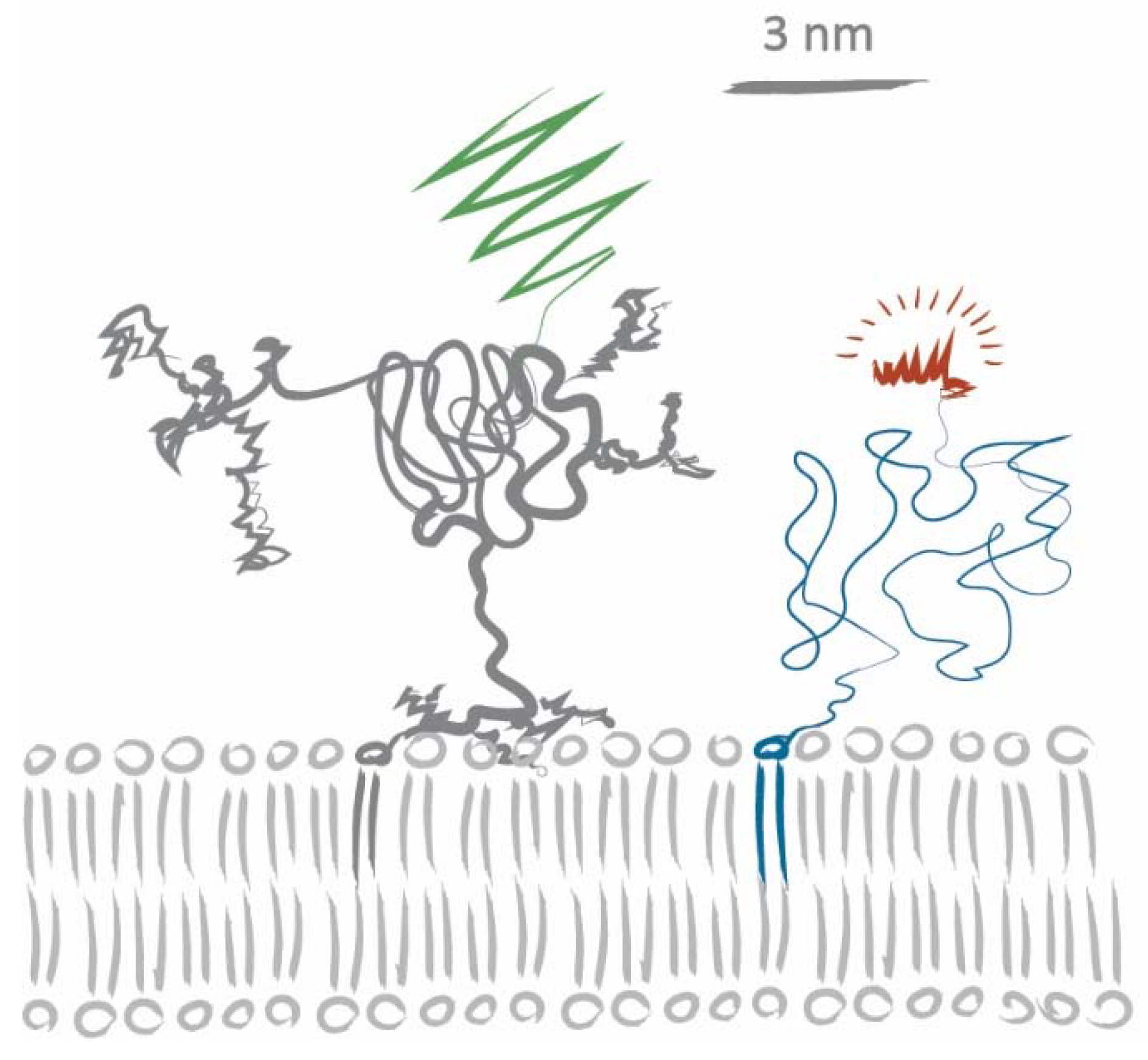 Biomolecules 08 00028 g004