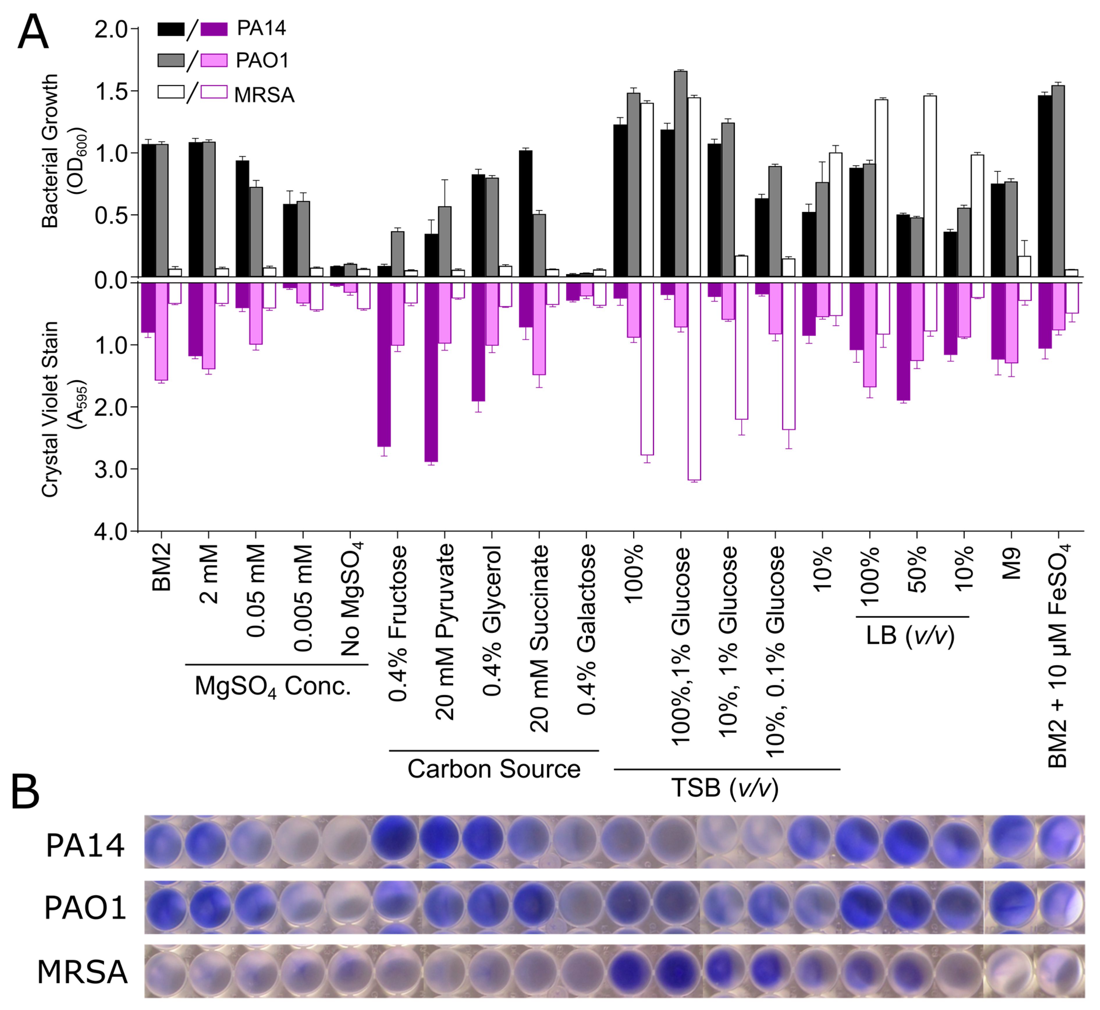 Biomolecules 08 00029 g002