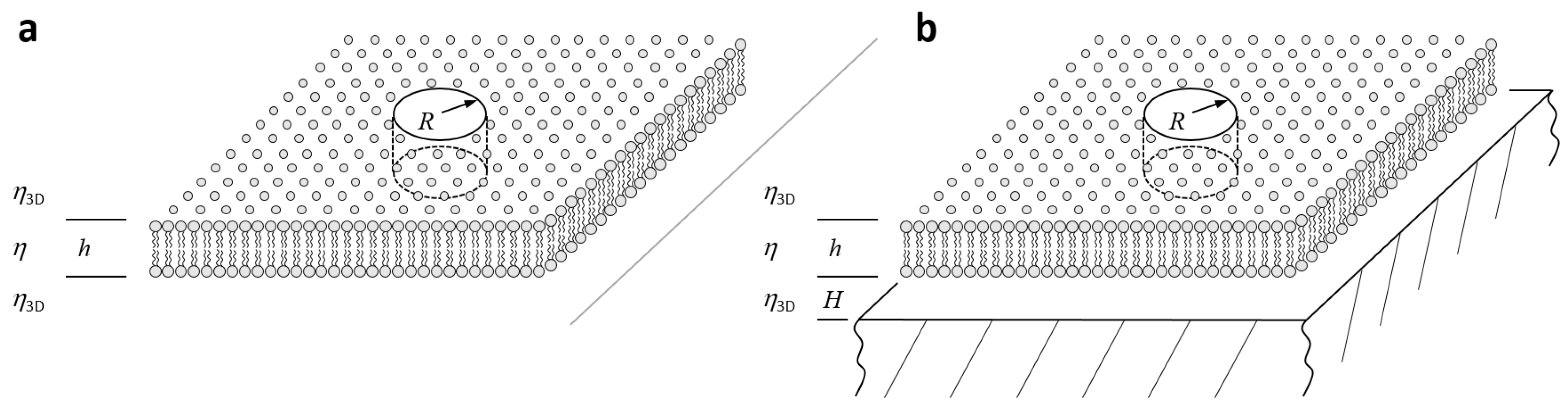 Biomolecules 08 00030 g002