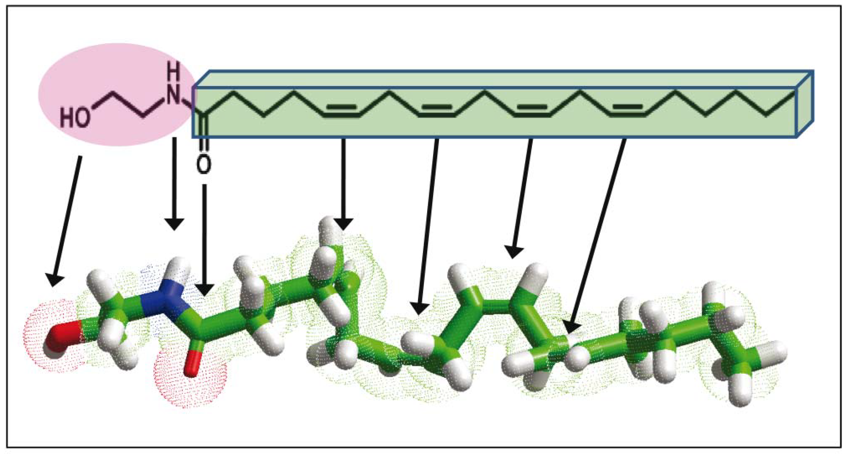 Biomolecules 08 00031 g001