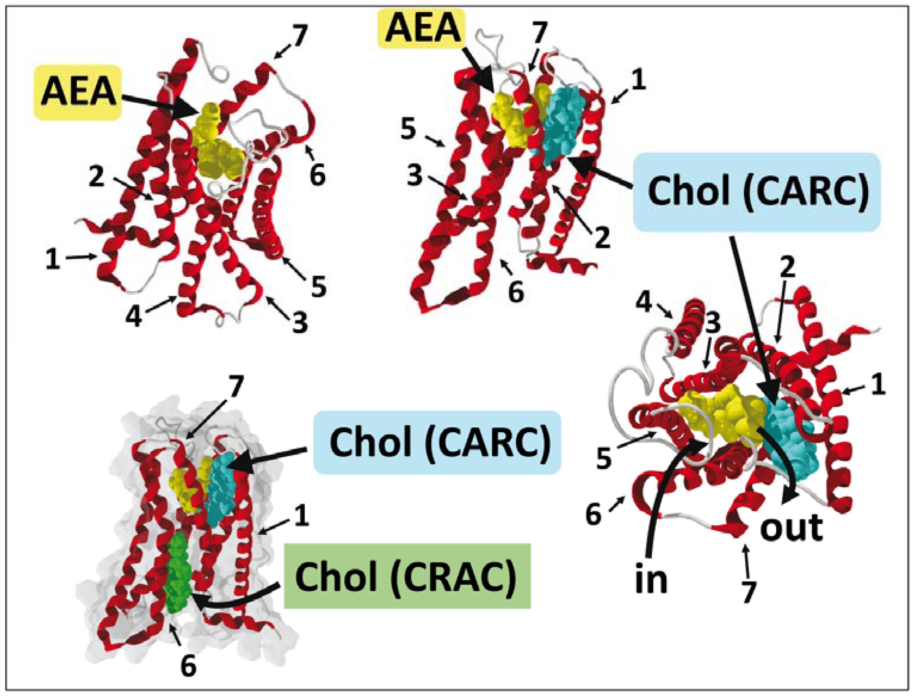 Biomolecules 08 00031 g007