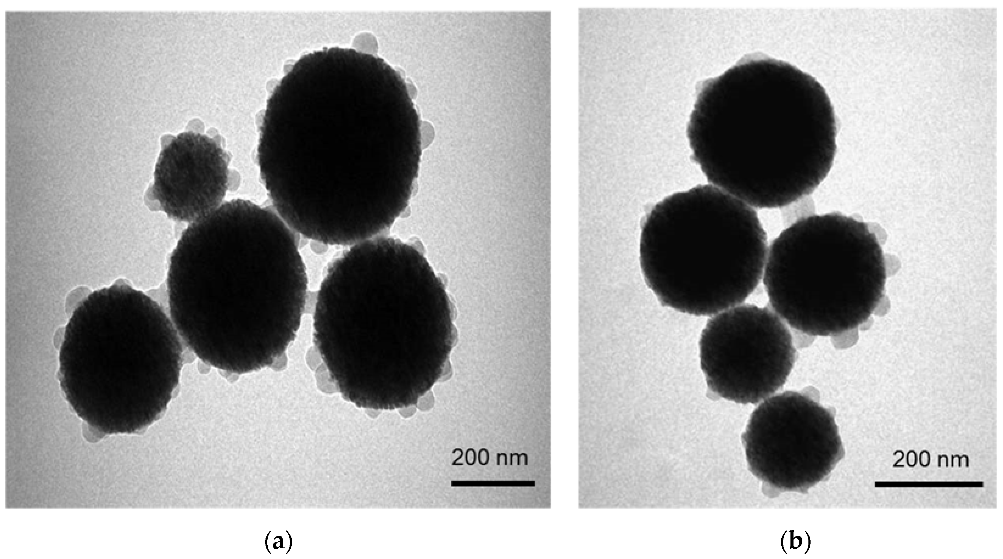 Biomolecules 08 00032 g002