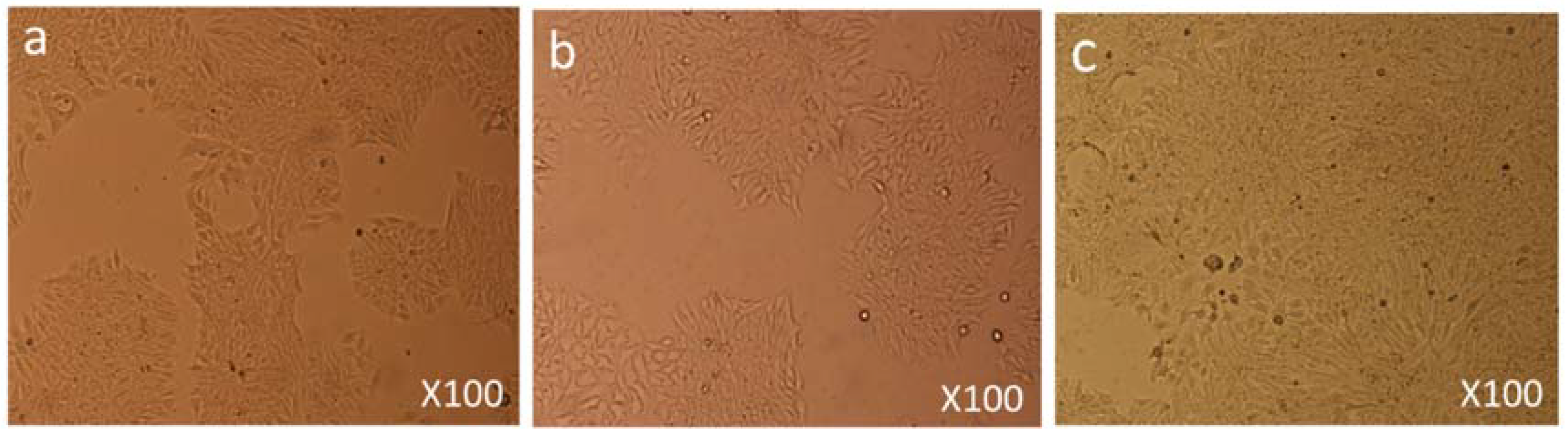 Biomolecules 08 00032 g003