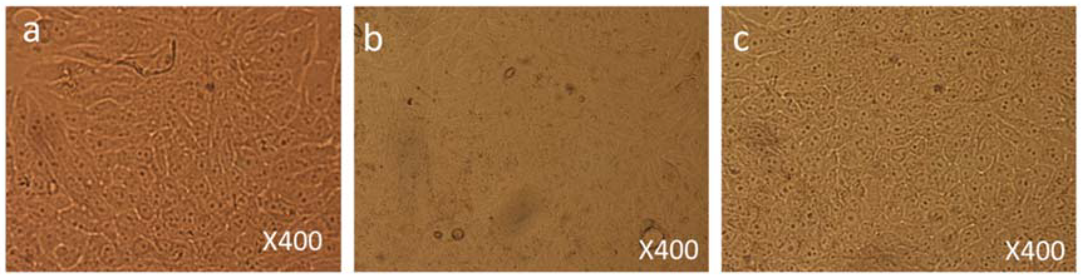 Biomolecules 08 00032 g004