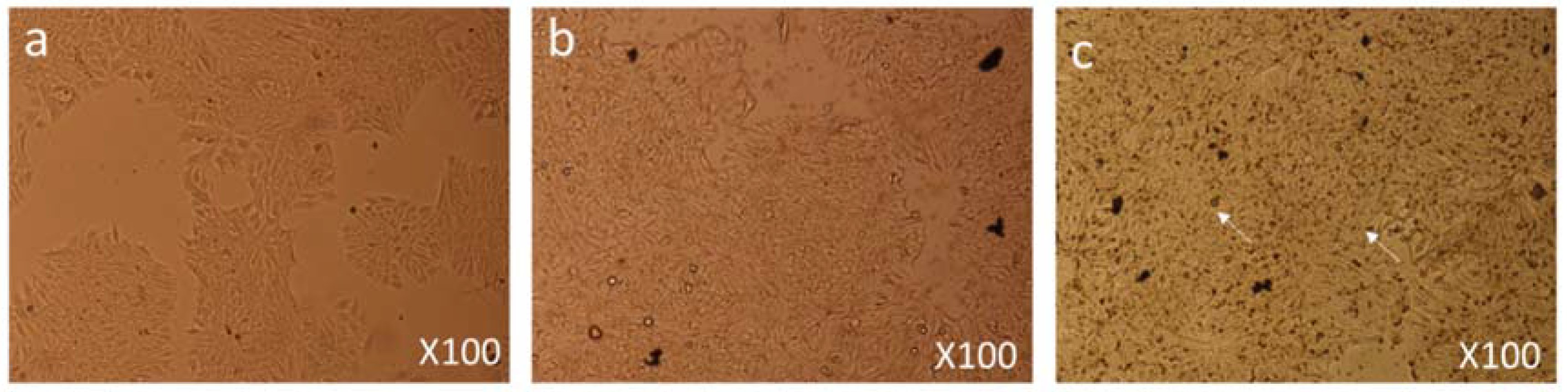 Biomolecules 08 00032 g005