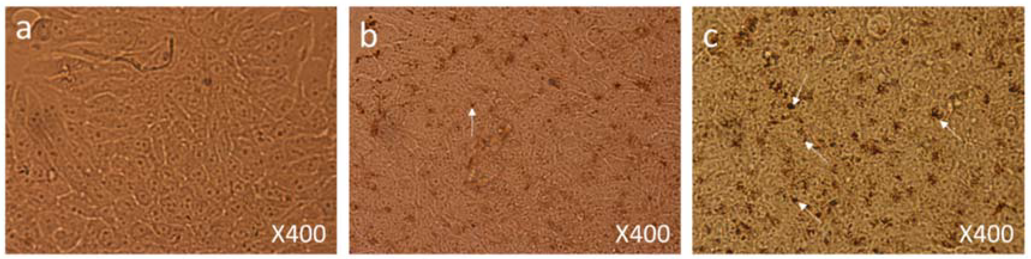 Biomolecules 08 00032 g006