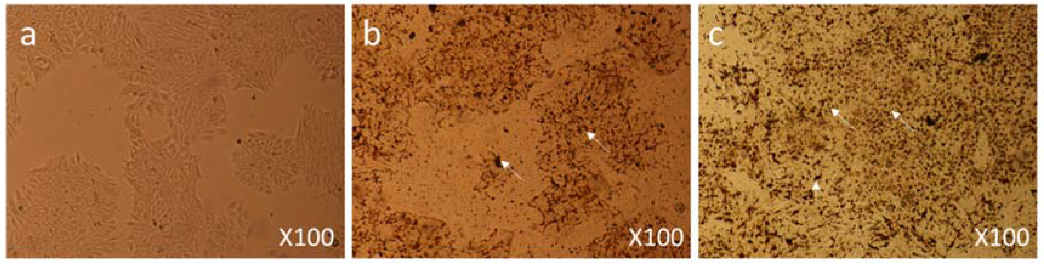 Biomolecules 08 00032 g007
