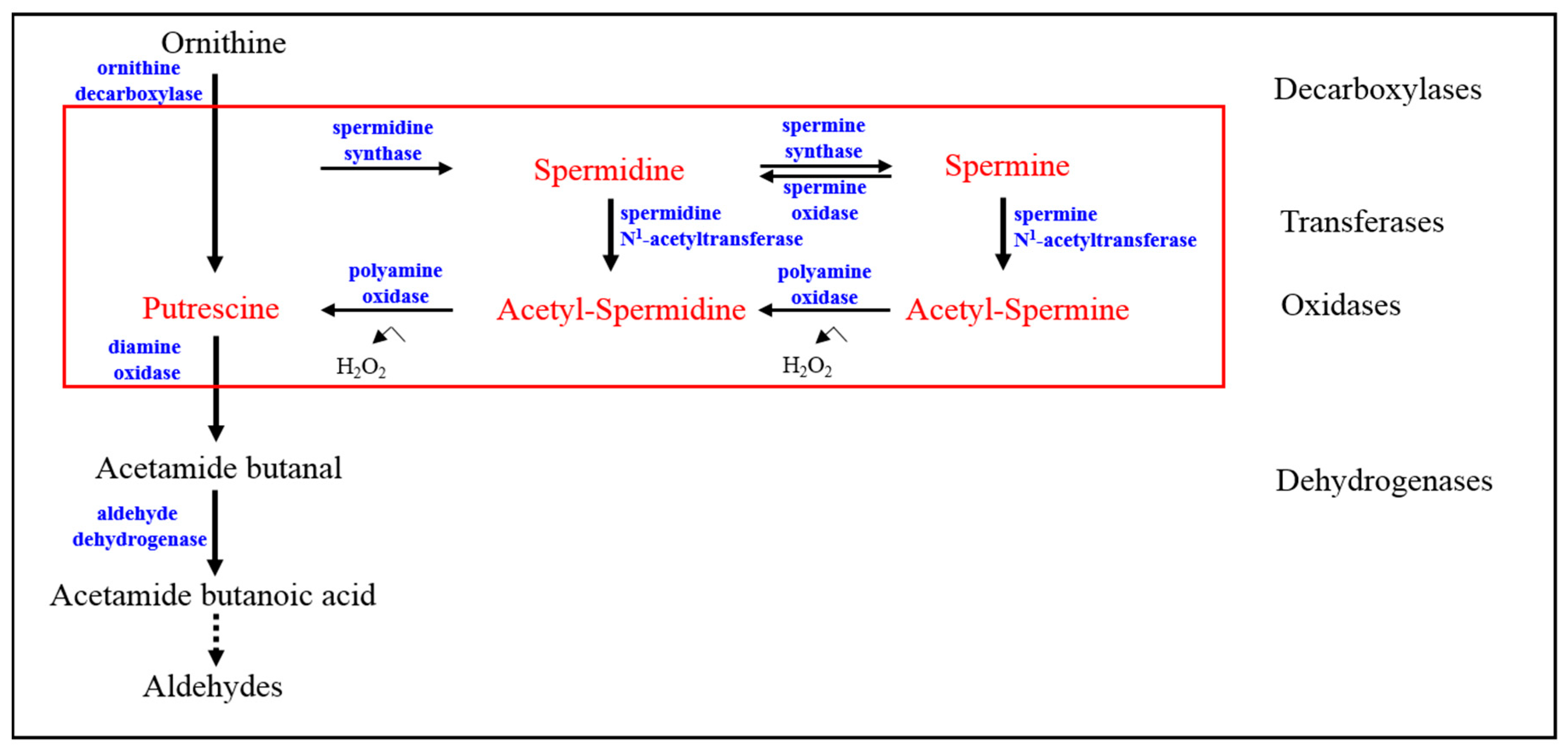 Biomolecules 08 00034 g003 Biomolecules 08 00034 g003