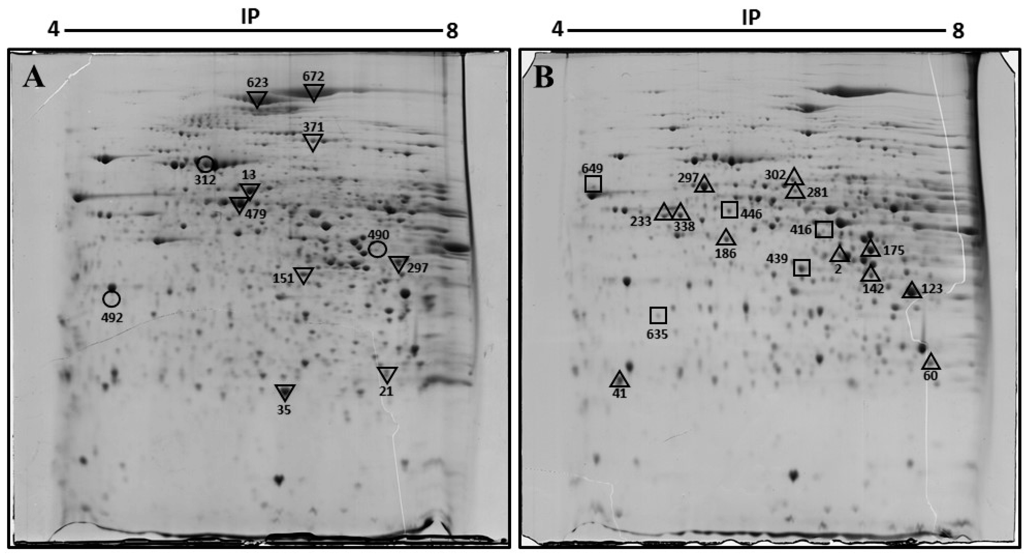 Biomolecules 08 00035 g001 Biomolecules 08 00035 g001