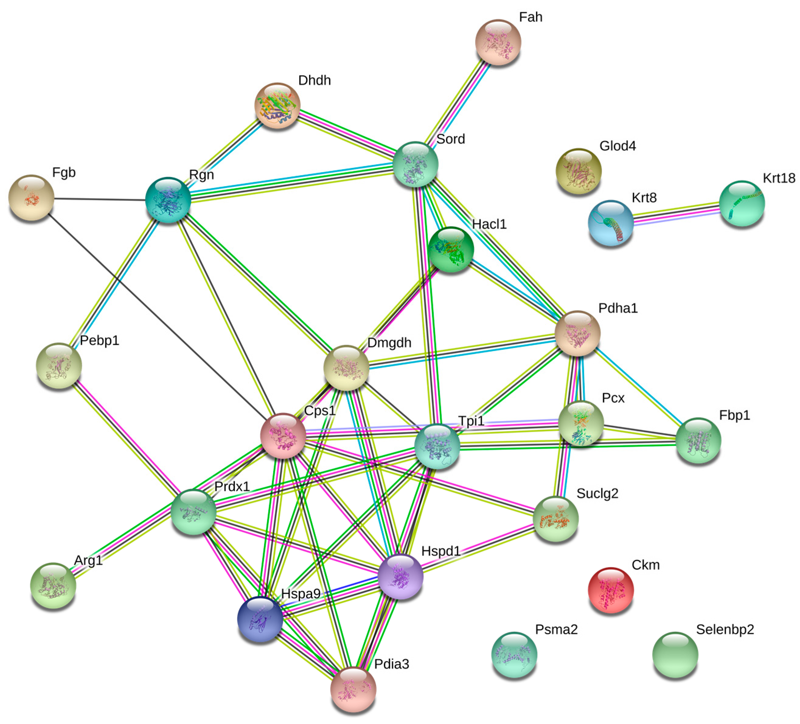 Biomolecules 08 00035 g002 Biomolecules 08 00035 g002