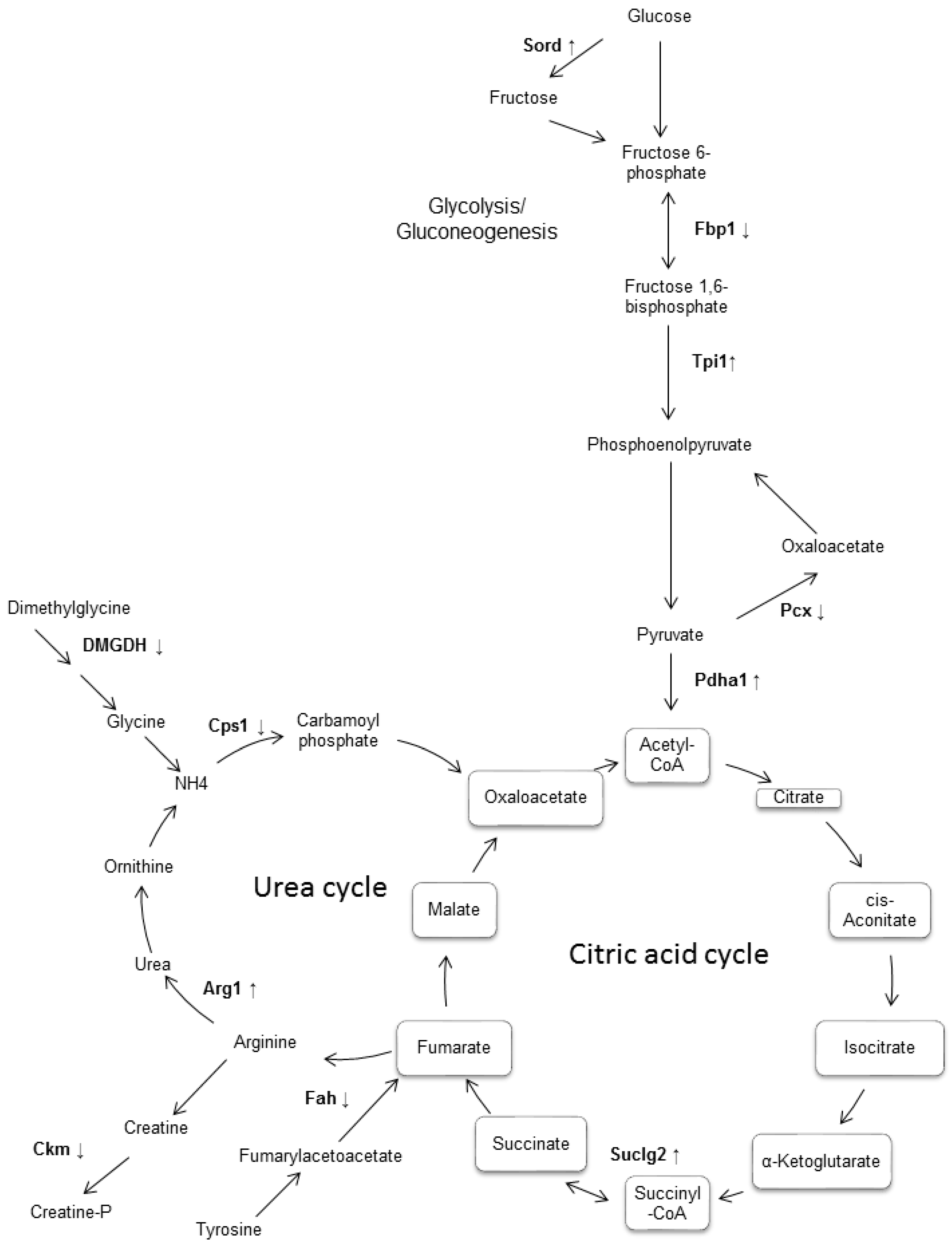 Biomolecules 08 00035 g003 Biomolecules 08 00035 g003