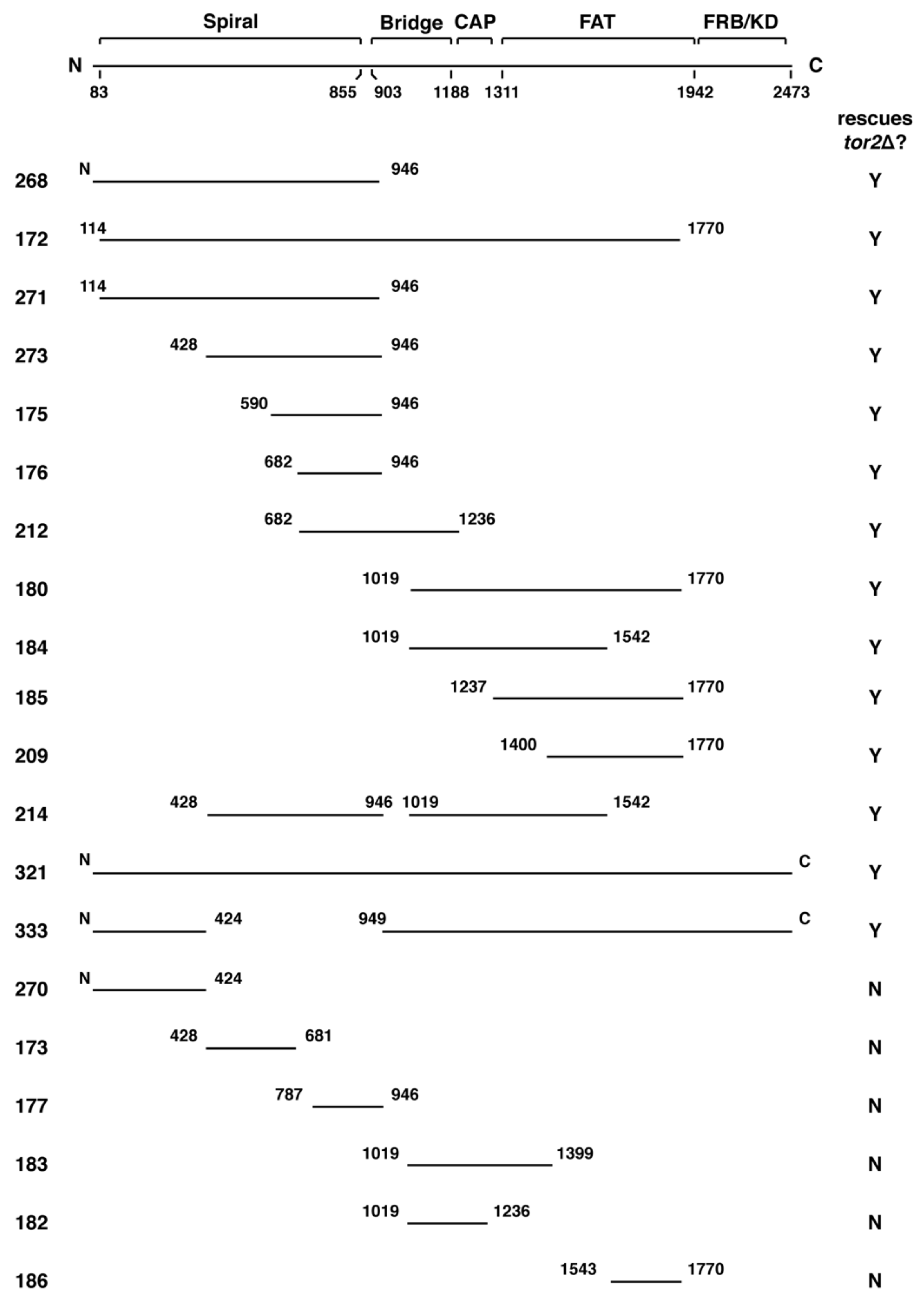 Biomolecules 08 00036 g001