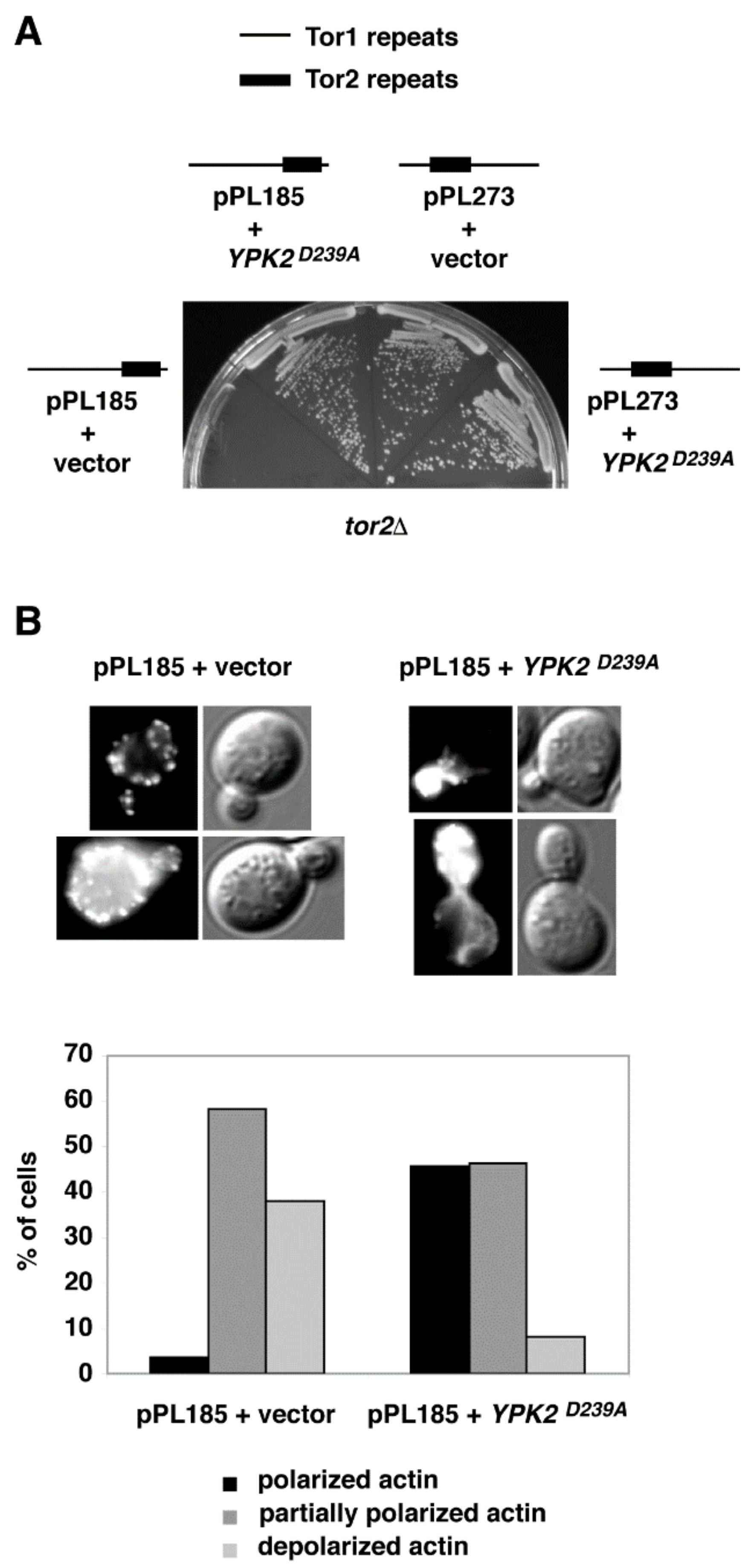 Biomolecules 08 00036 g003