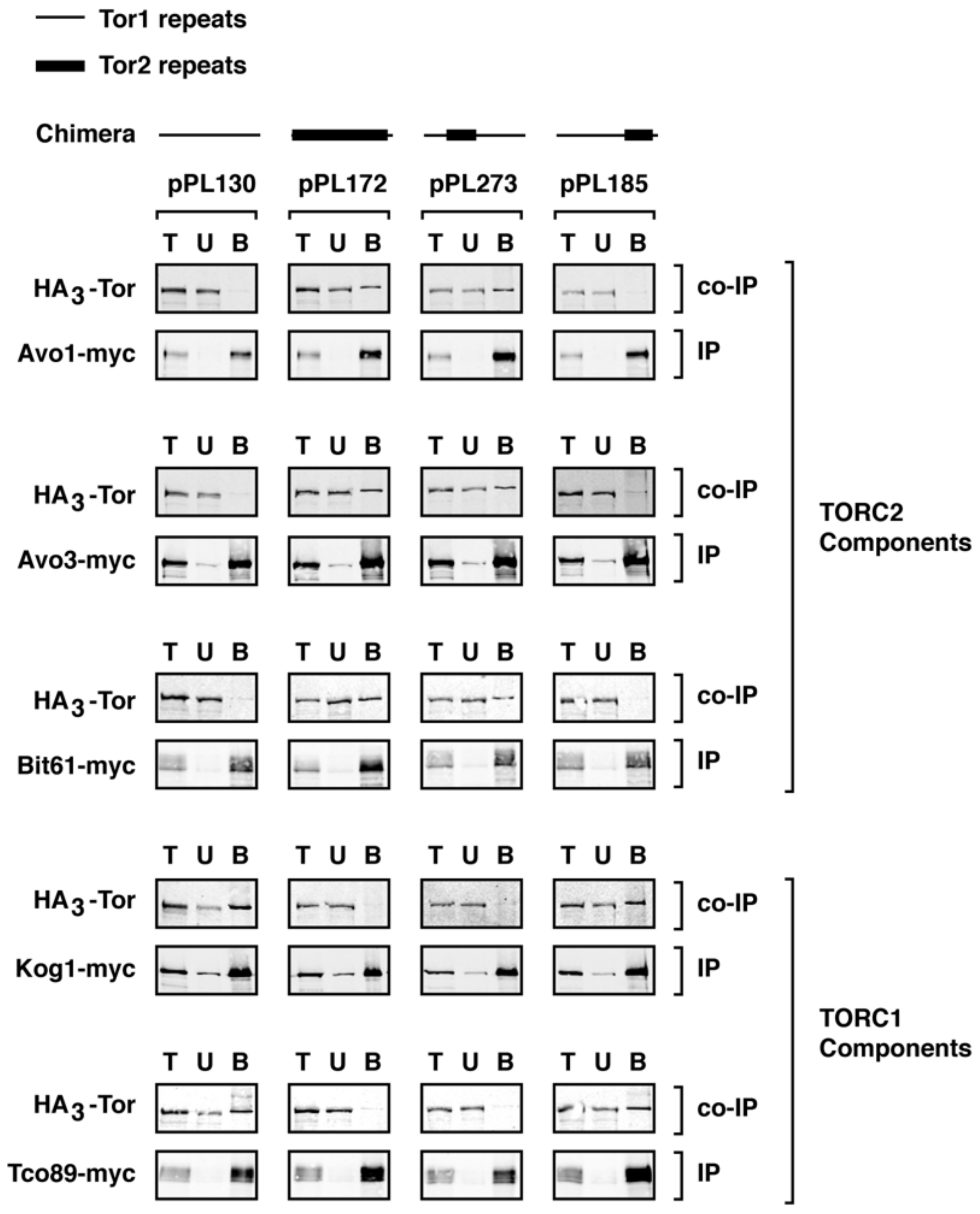 Biomolecules 08 00036 g004