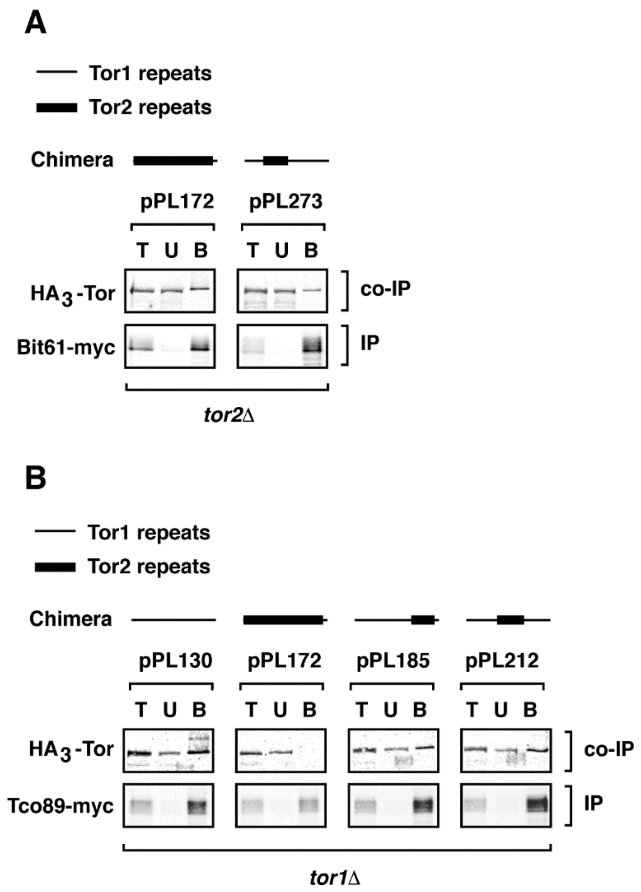 Biomolecules 08 00036 g005
