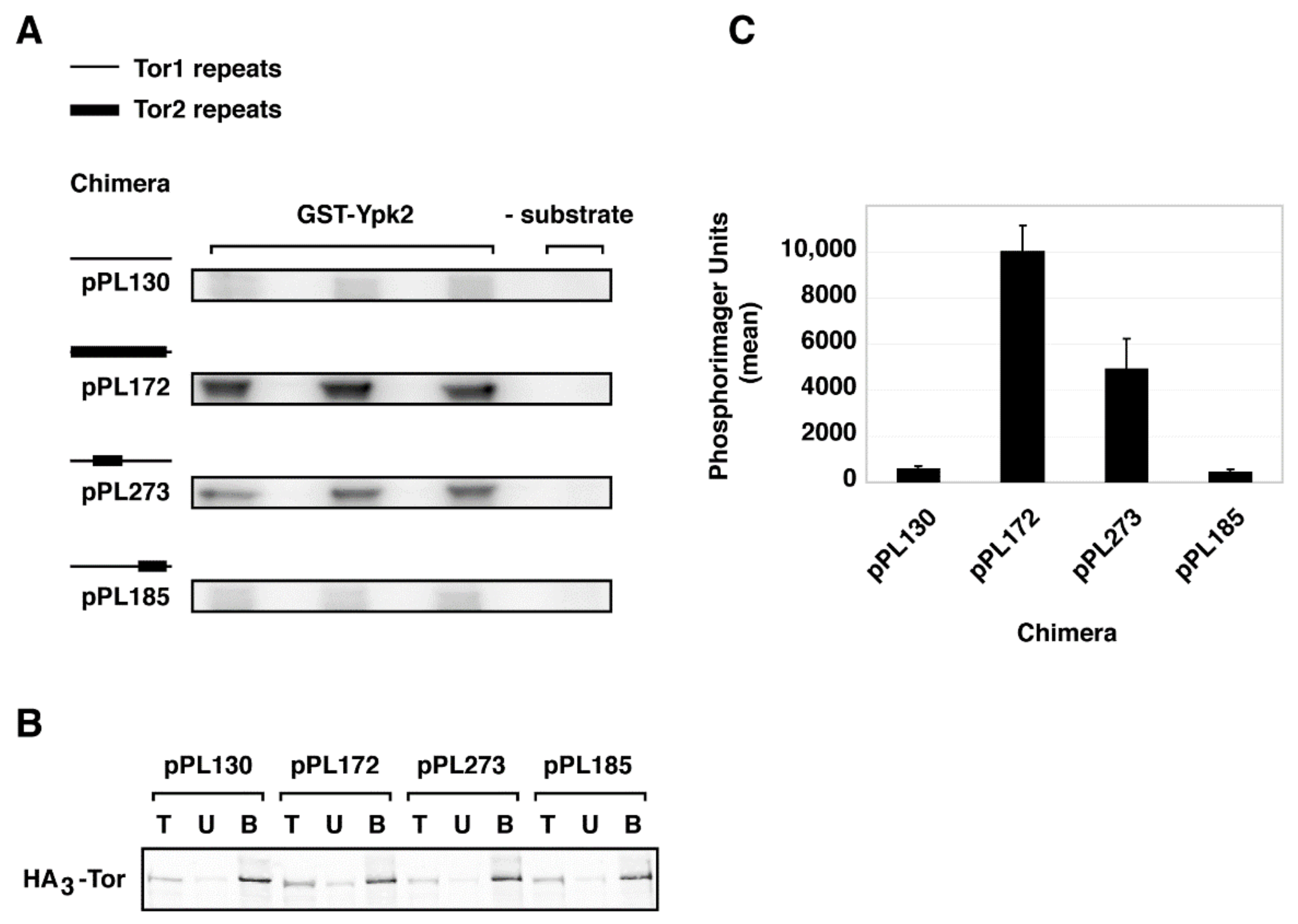 Biomolecules 08 00036 g006