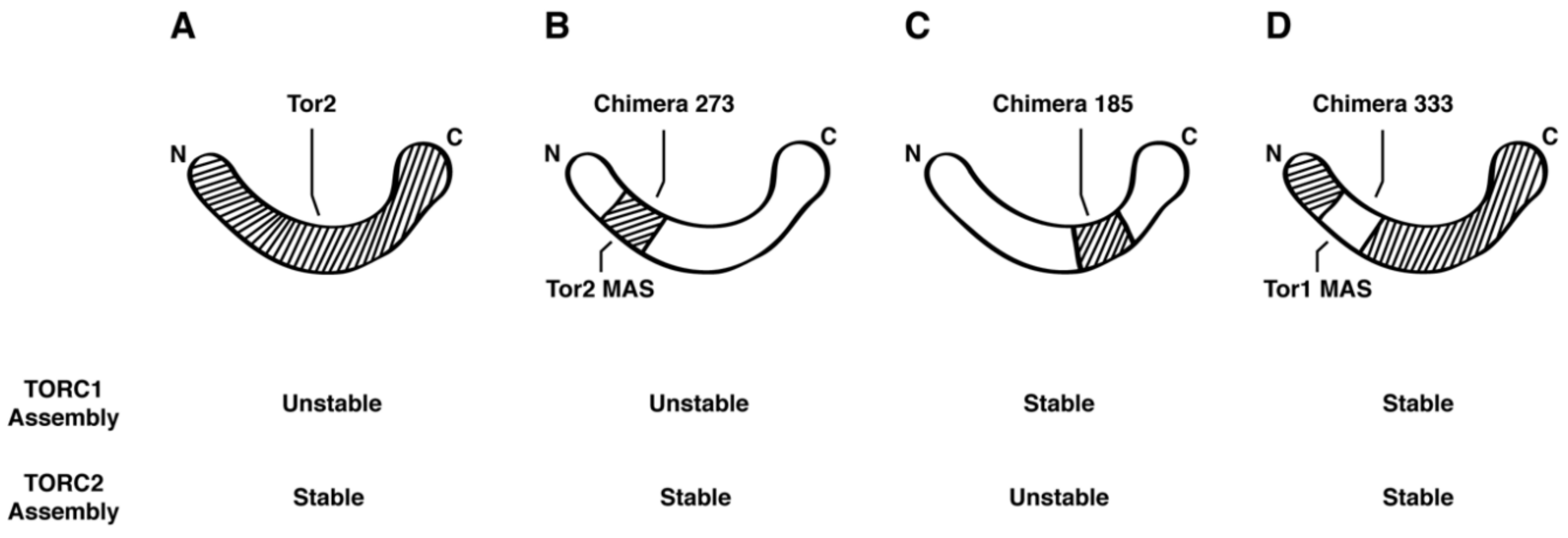 Biomolecules 08 00036 g008