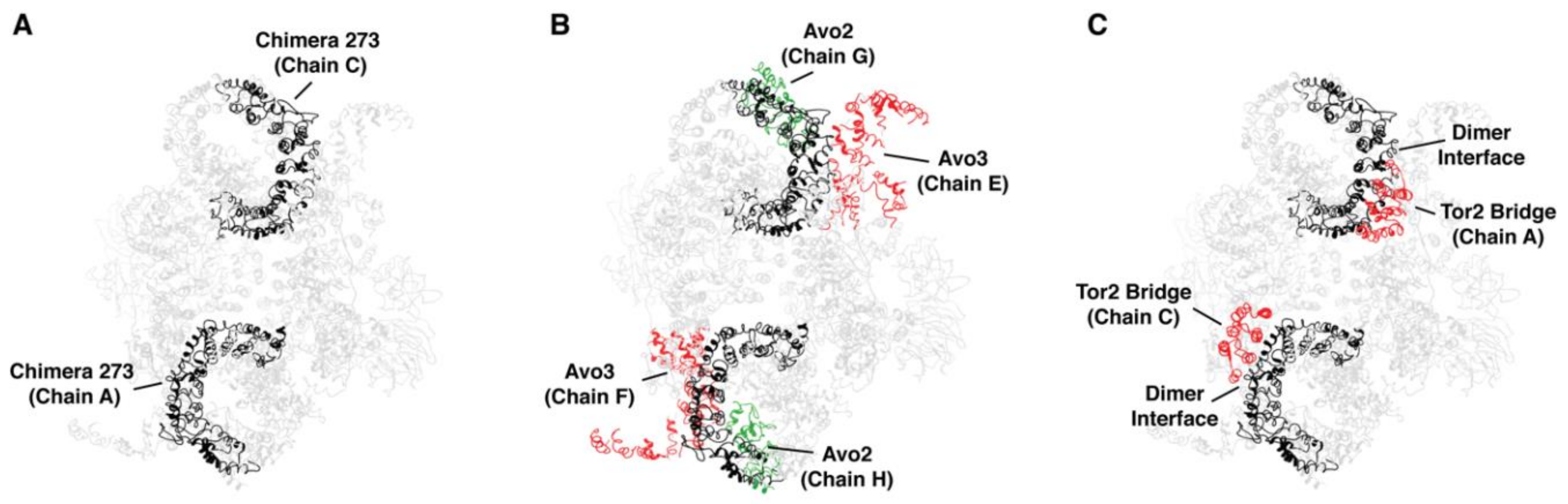 Biomolecules 08 00036 g009