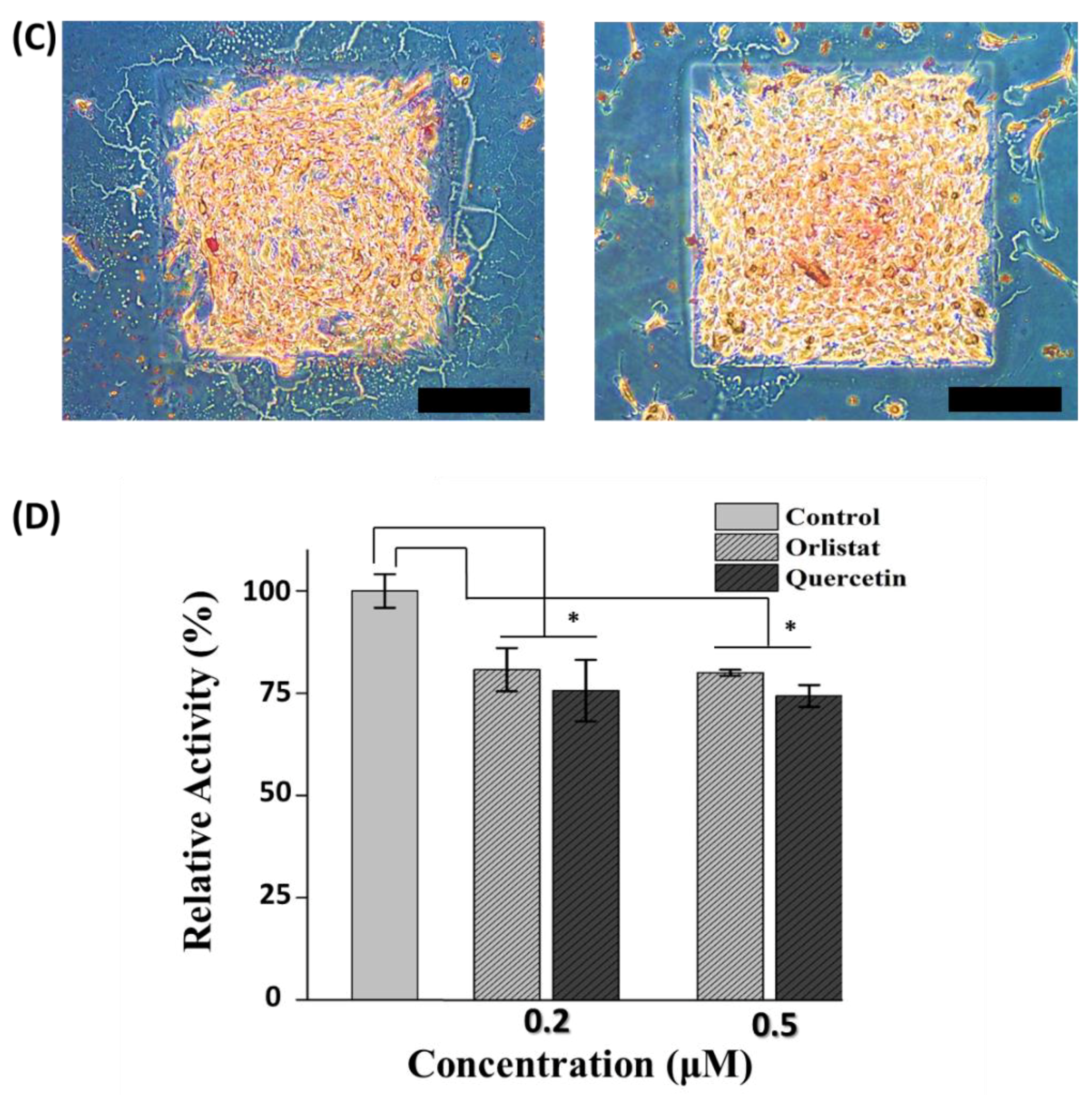Biomolecules 08 00037 g004b
