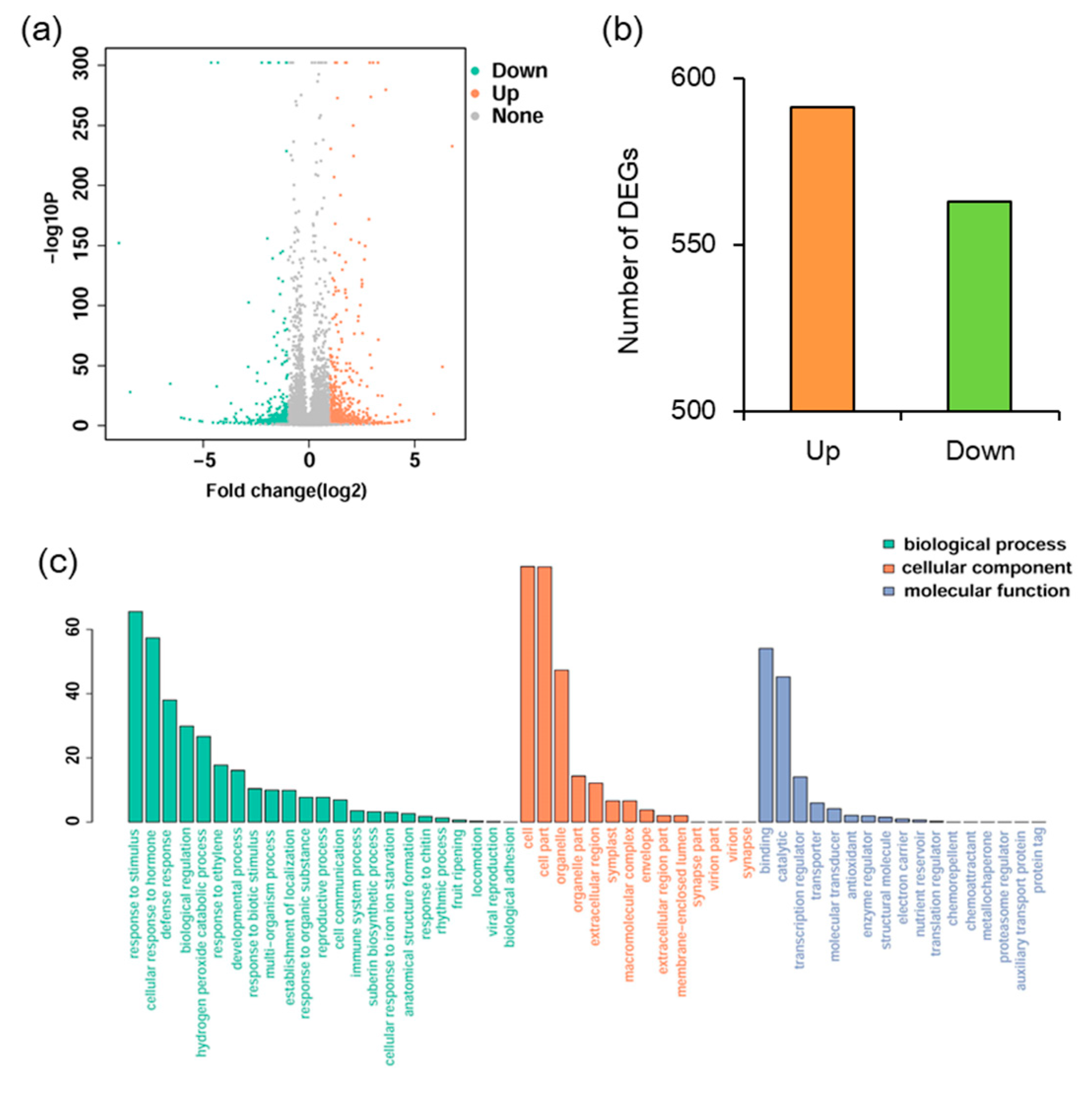 Biomolecules 08 00039 g004