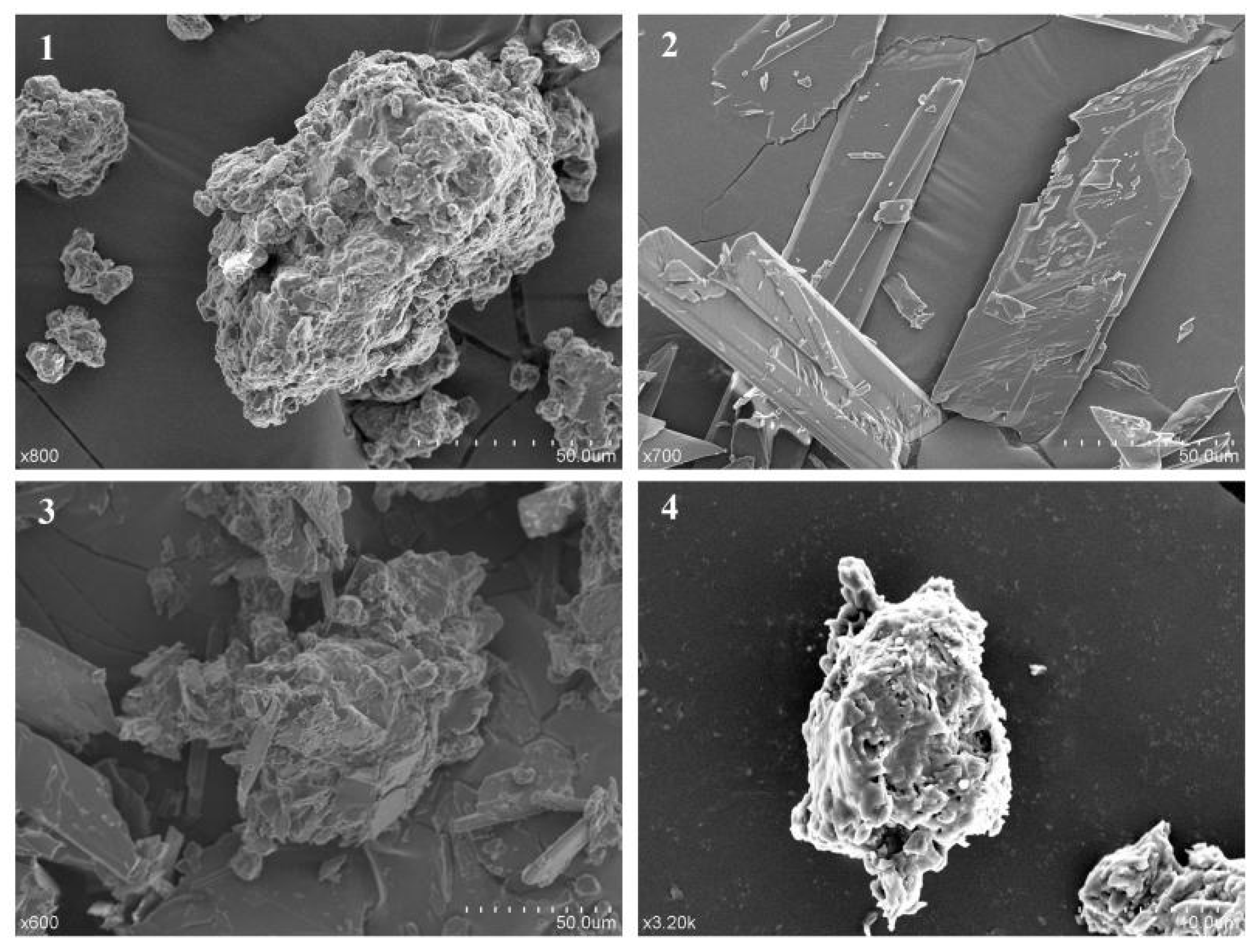 Biomolecules 08 00041 g003