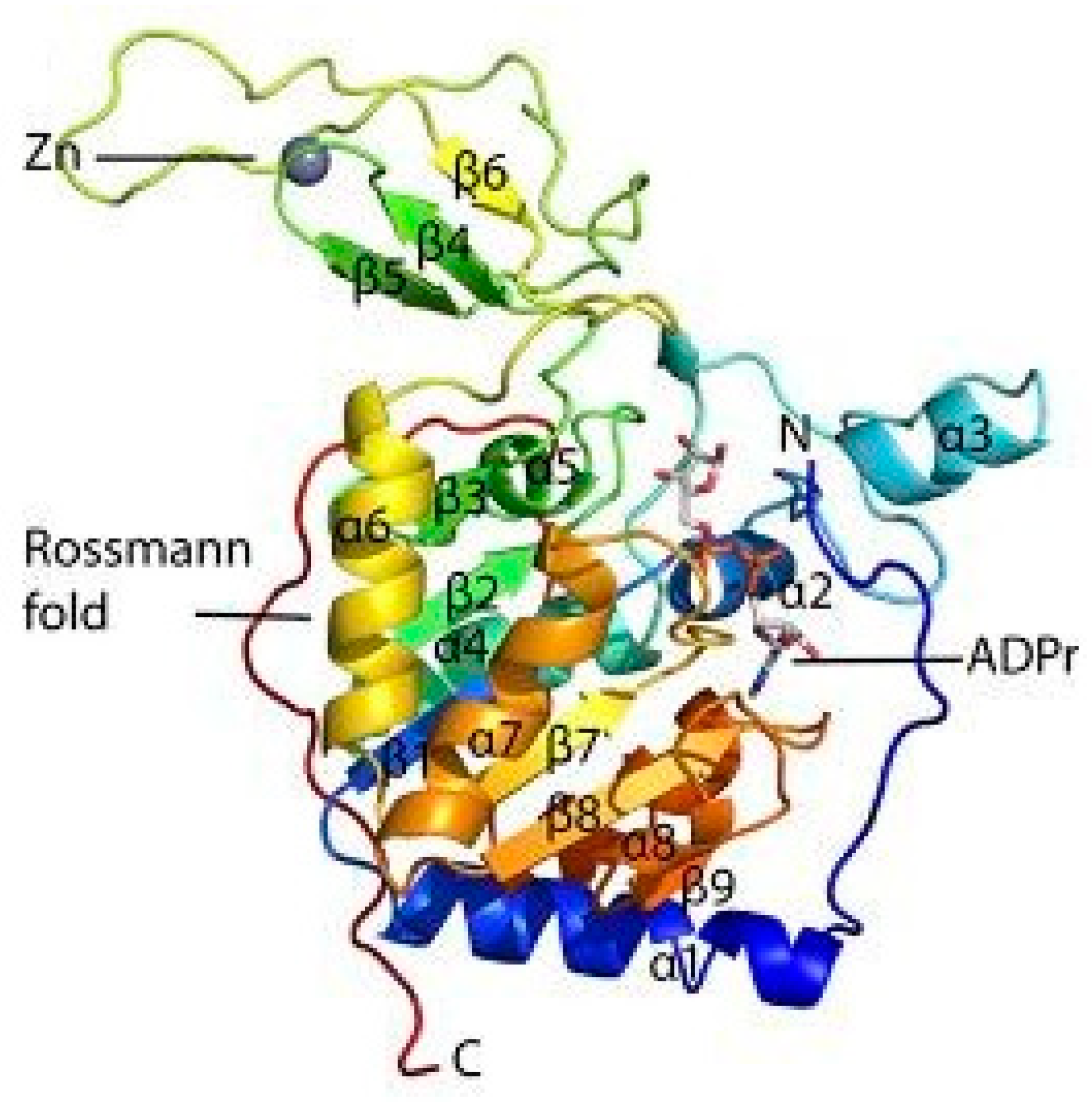 Biomolecules 08 00044 g001