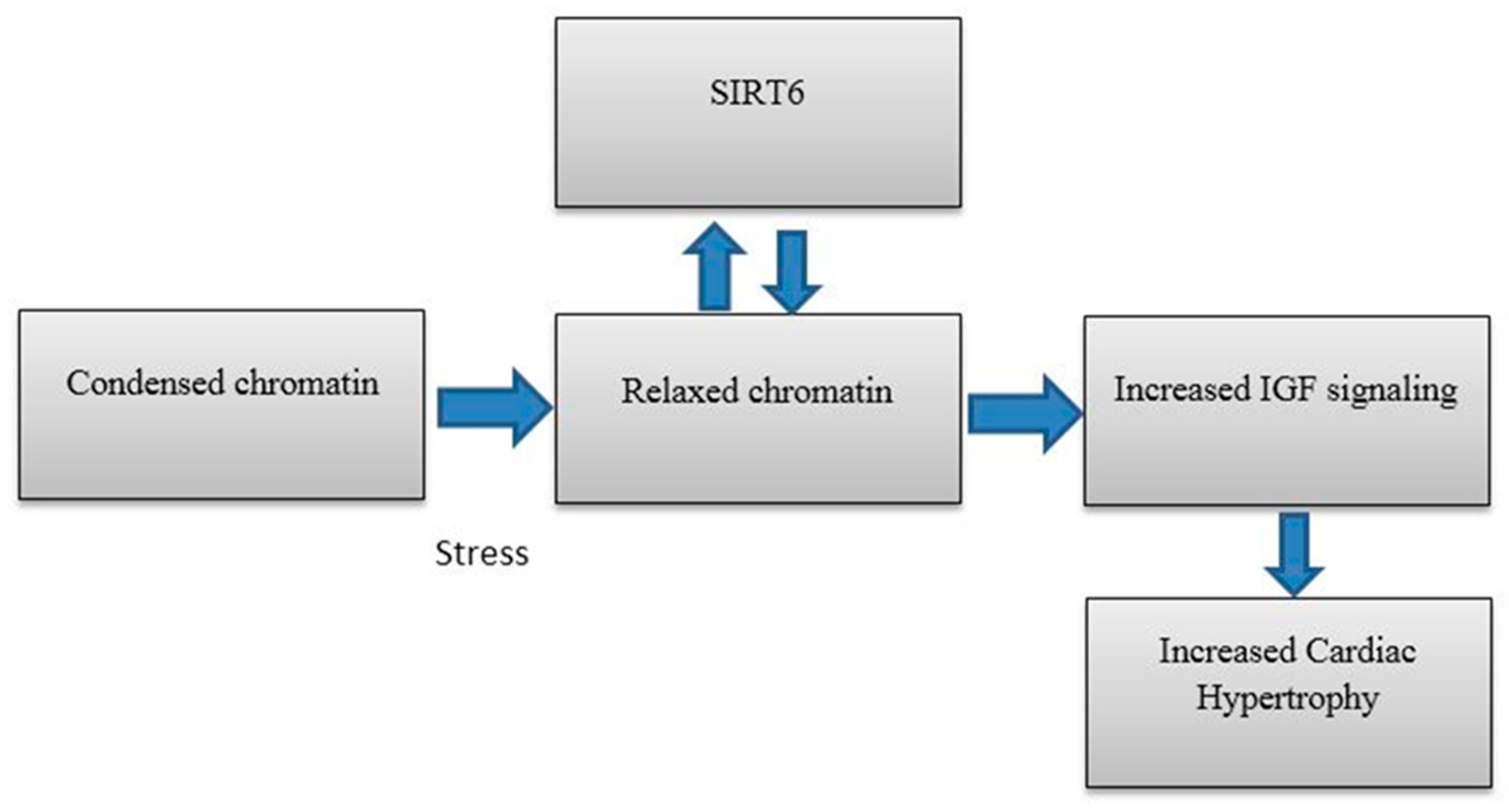Biomolecules 08 00044 g003