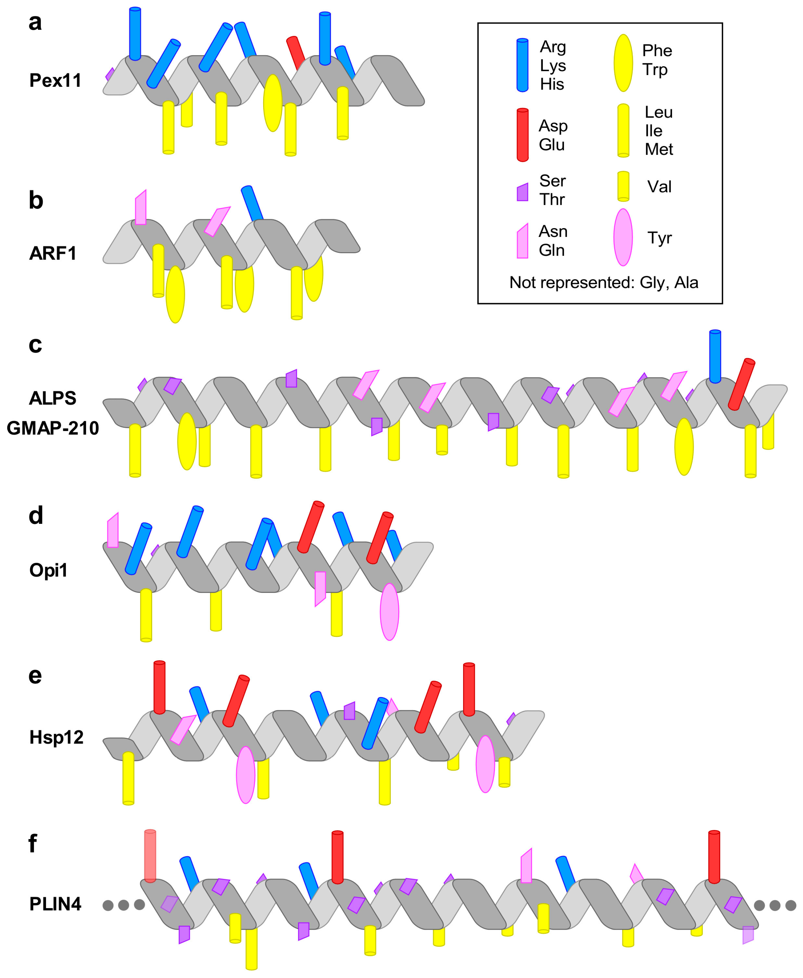 Biomolecules 08 00045 g001