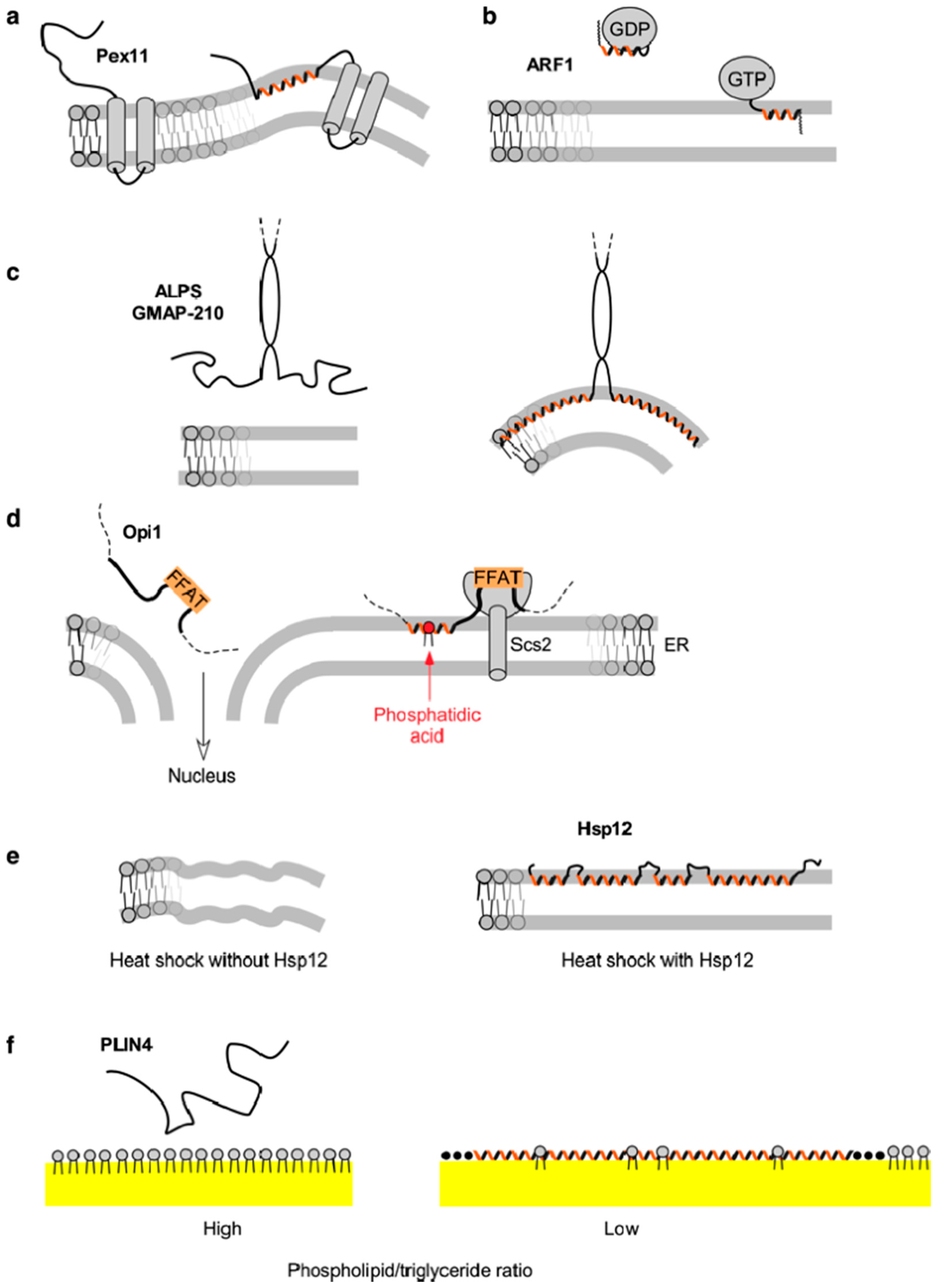 Biomolecules 08 00045 g002