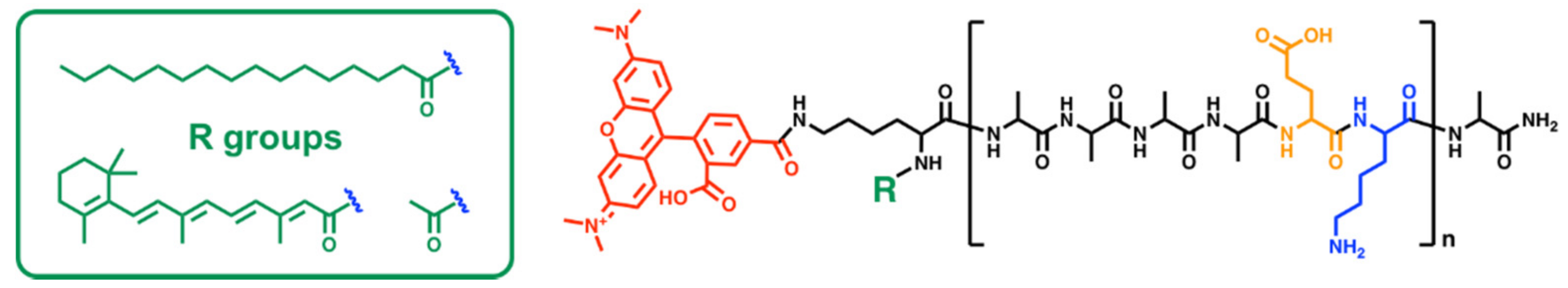 Biomolecules 08 00048 g001