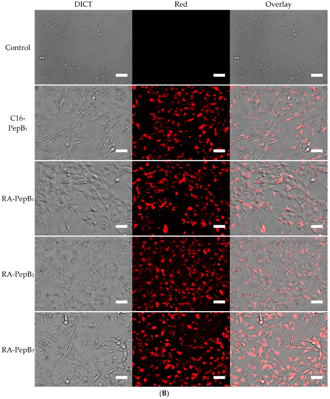Biomolecules 08 00048 g010b