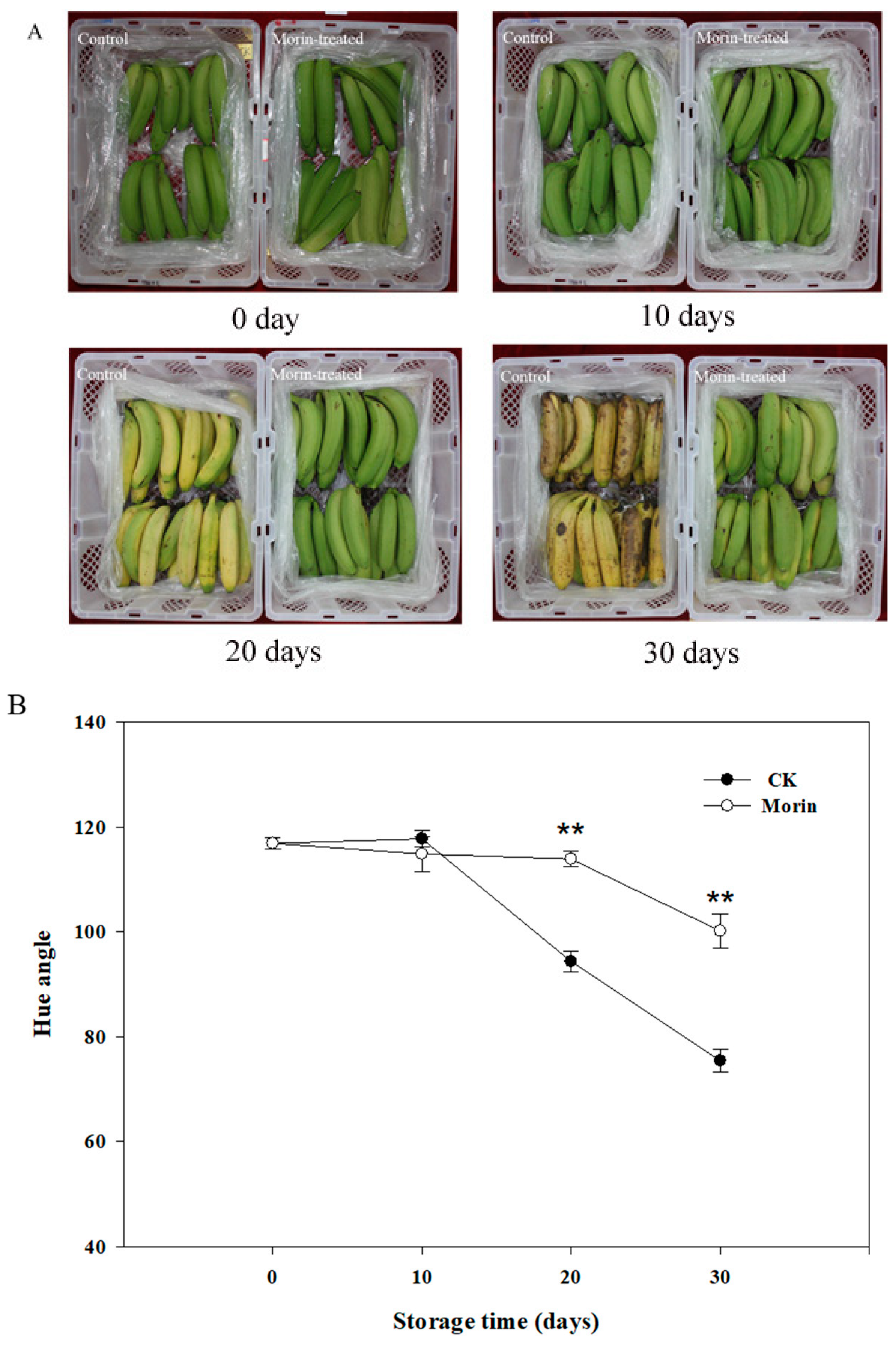 Biomolecules 08 00052 g001a